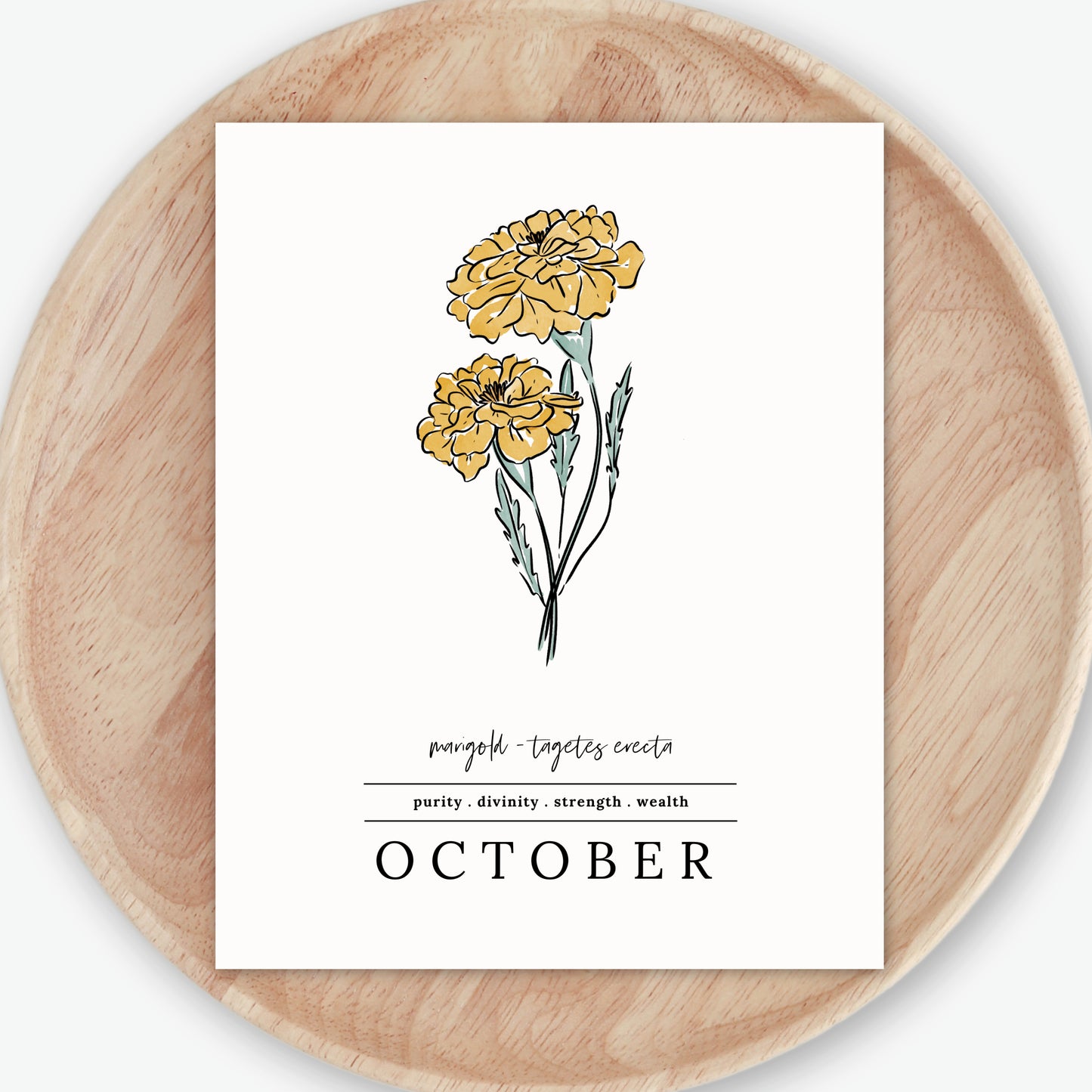October Marigold Birth Flower Unframed Art Print | Illustrated Floral Art