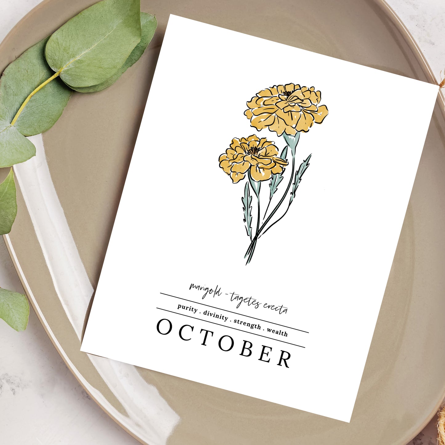 October Marigold Birth Flower Unframed Art Print | Illustrated Floral Art