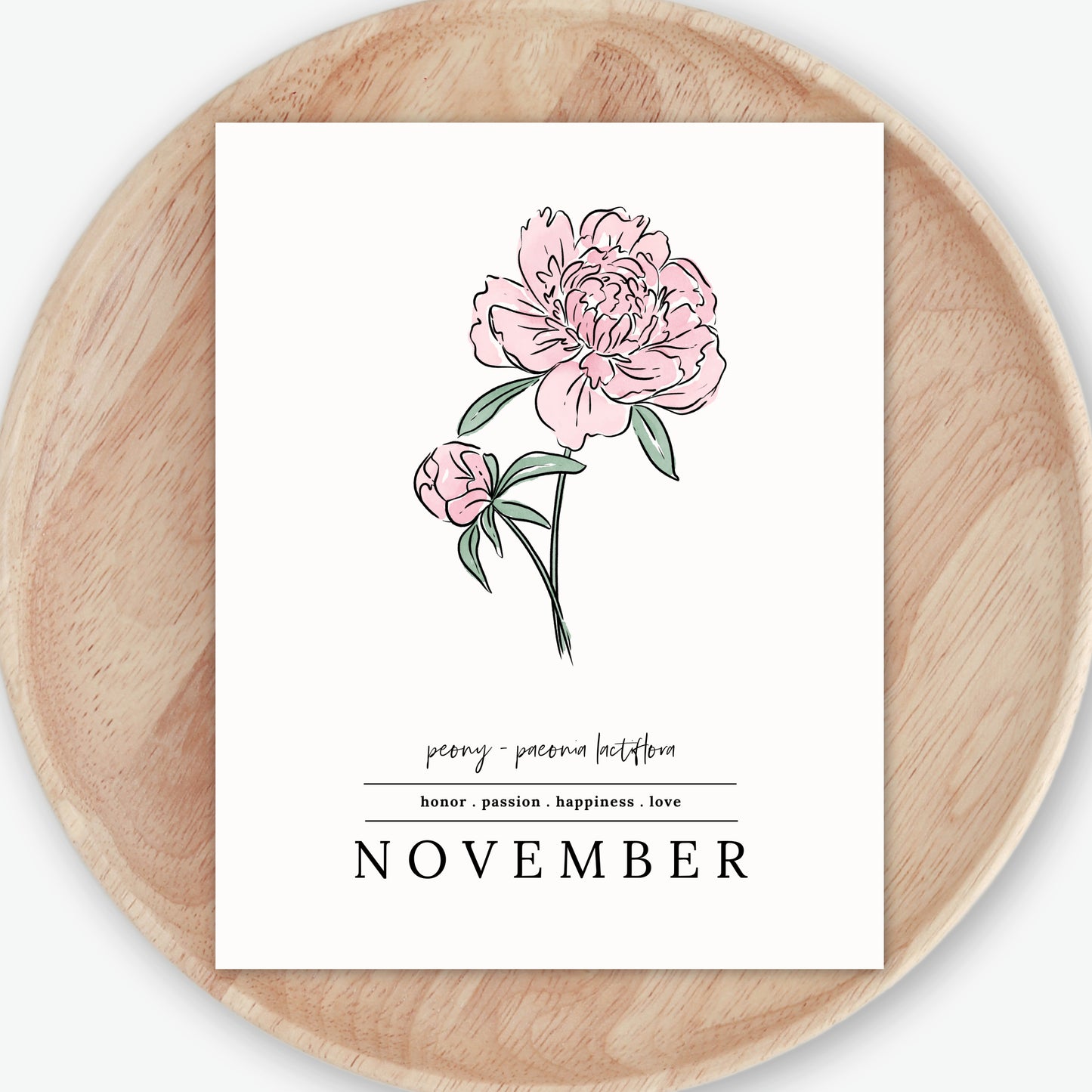 November Peony Birth Flower Unframed Art Print | Illustrated Floral Art