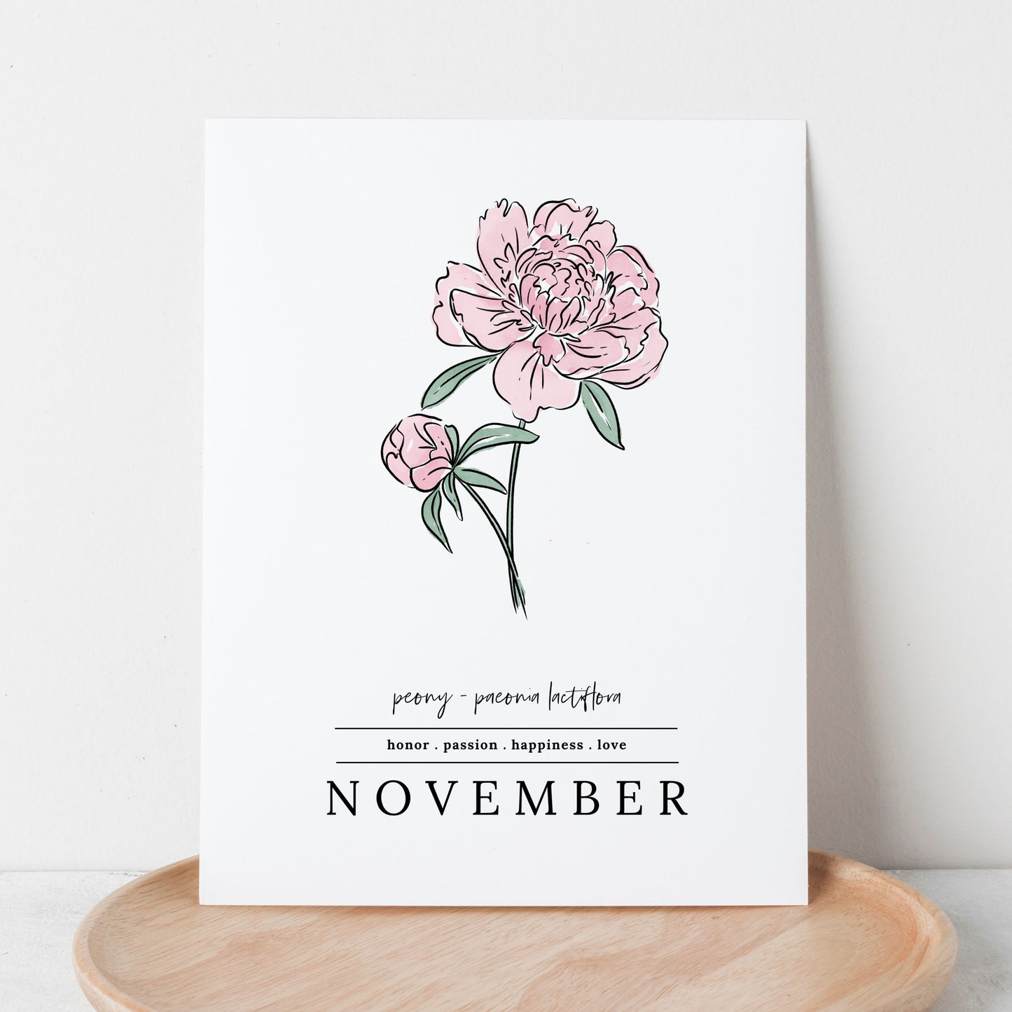 November Peony Birth Flower Unframed Art Print | Illustrated Floral Art