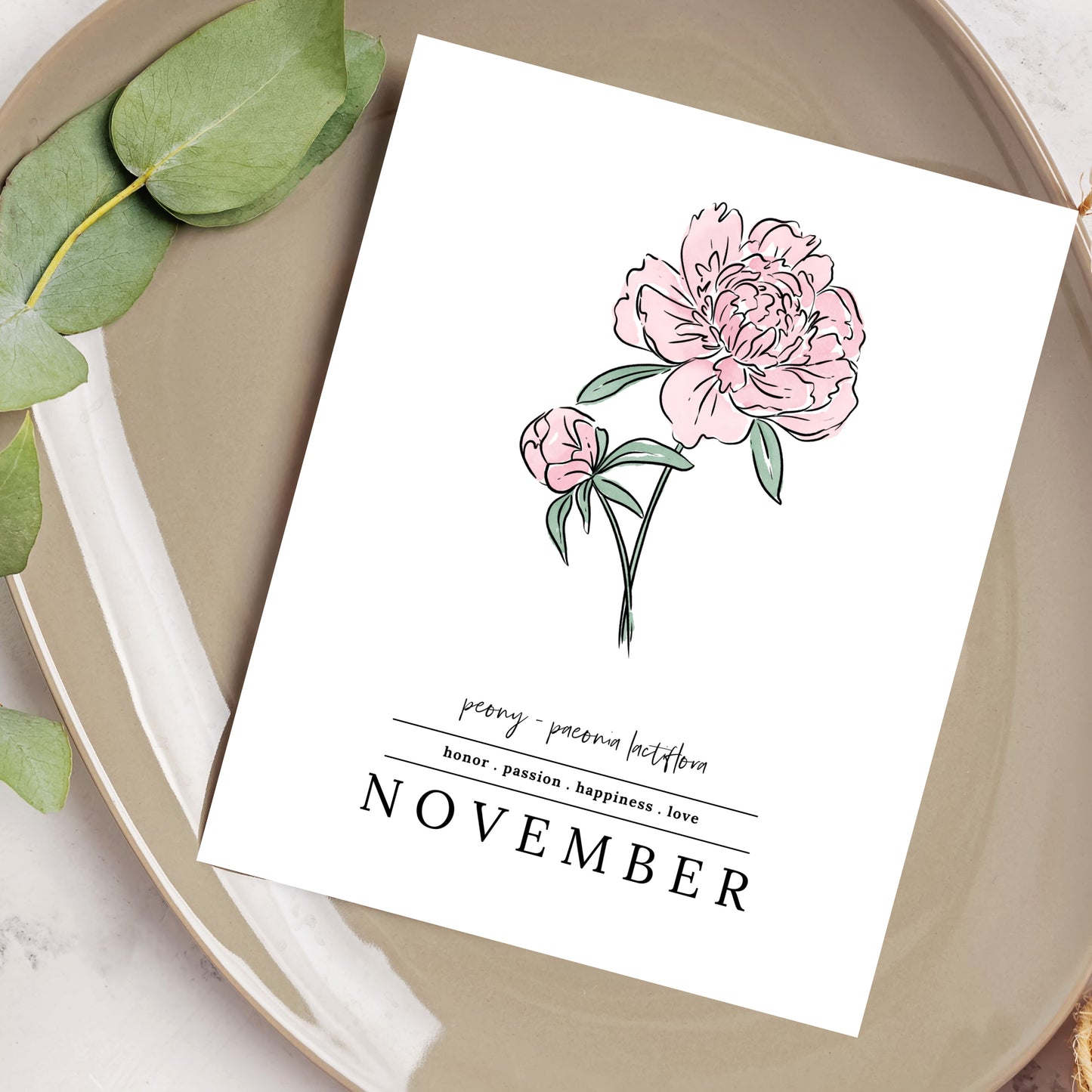 November Peony Birth Flower Unframed Art Print | Illustrated Floral Art