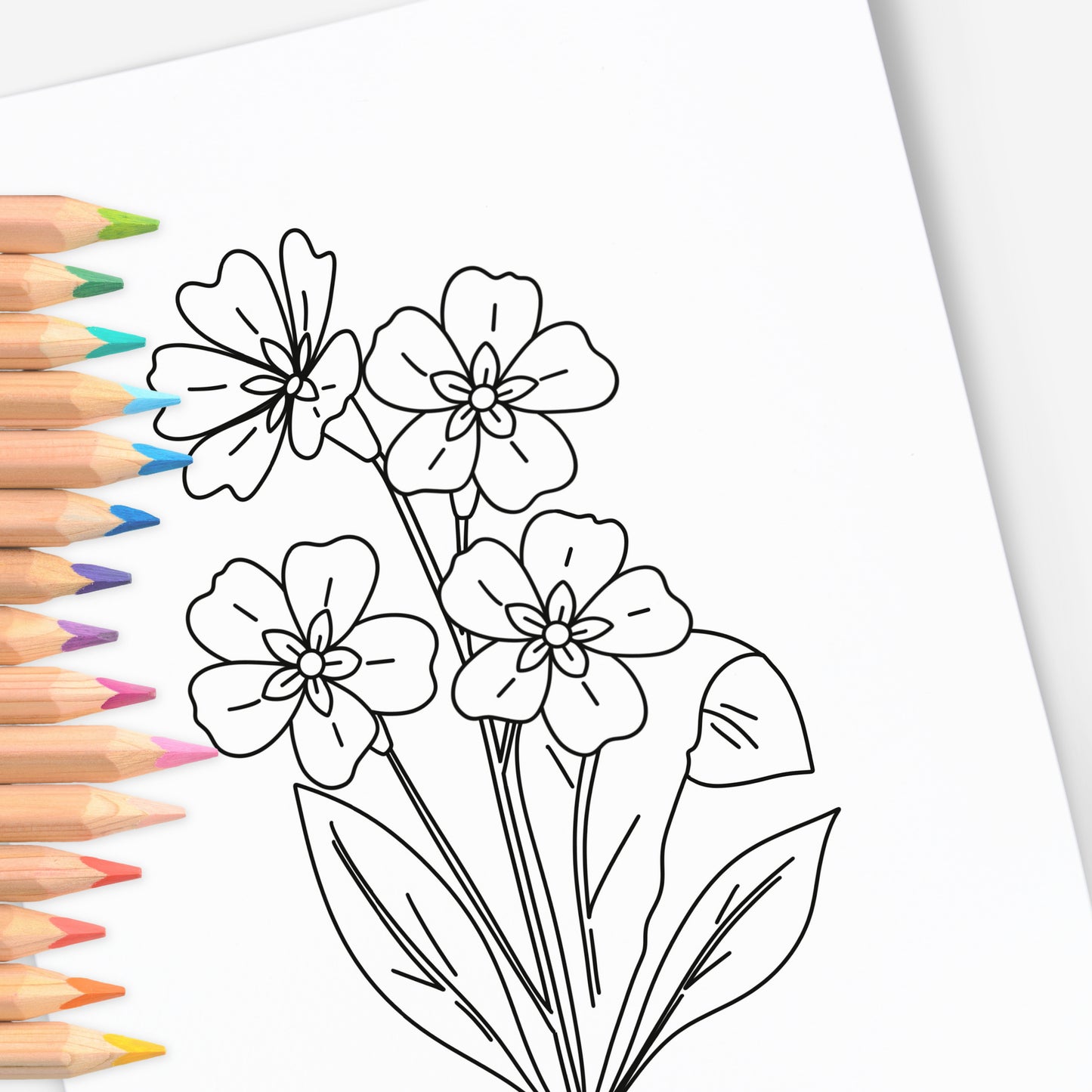 25 Pk Planting Positivity Large Print Floral Coloring Pages | Mindful Nature Themed Illustrations
