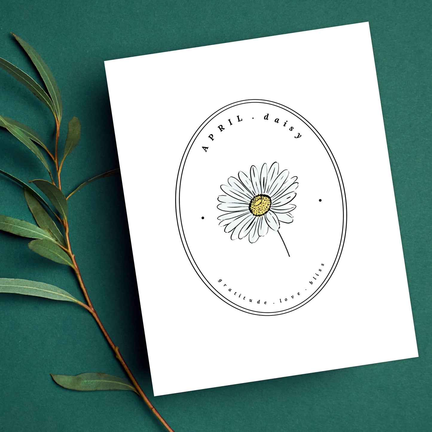 April Birth Flower Daisy | Cameo Watercolor Art Printable
