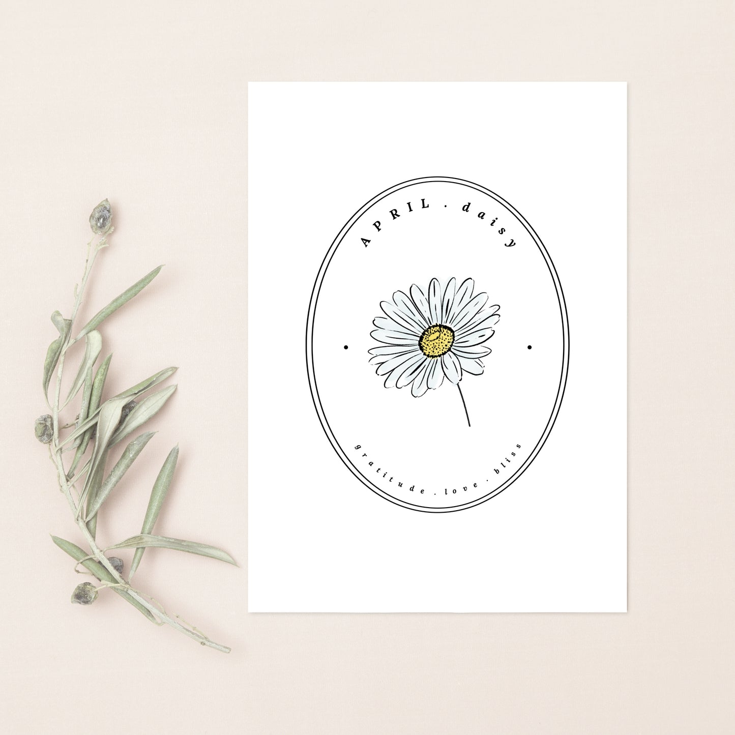 April Birth Flower Daisy | Cameo Watercolor Art Printable