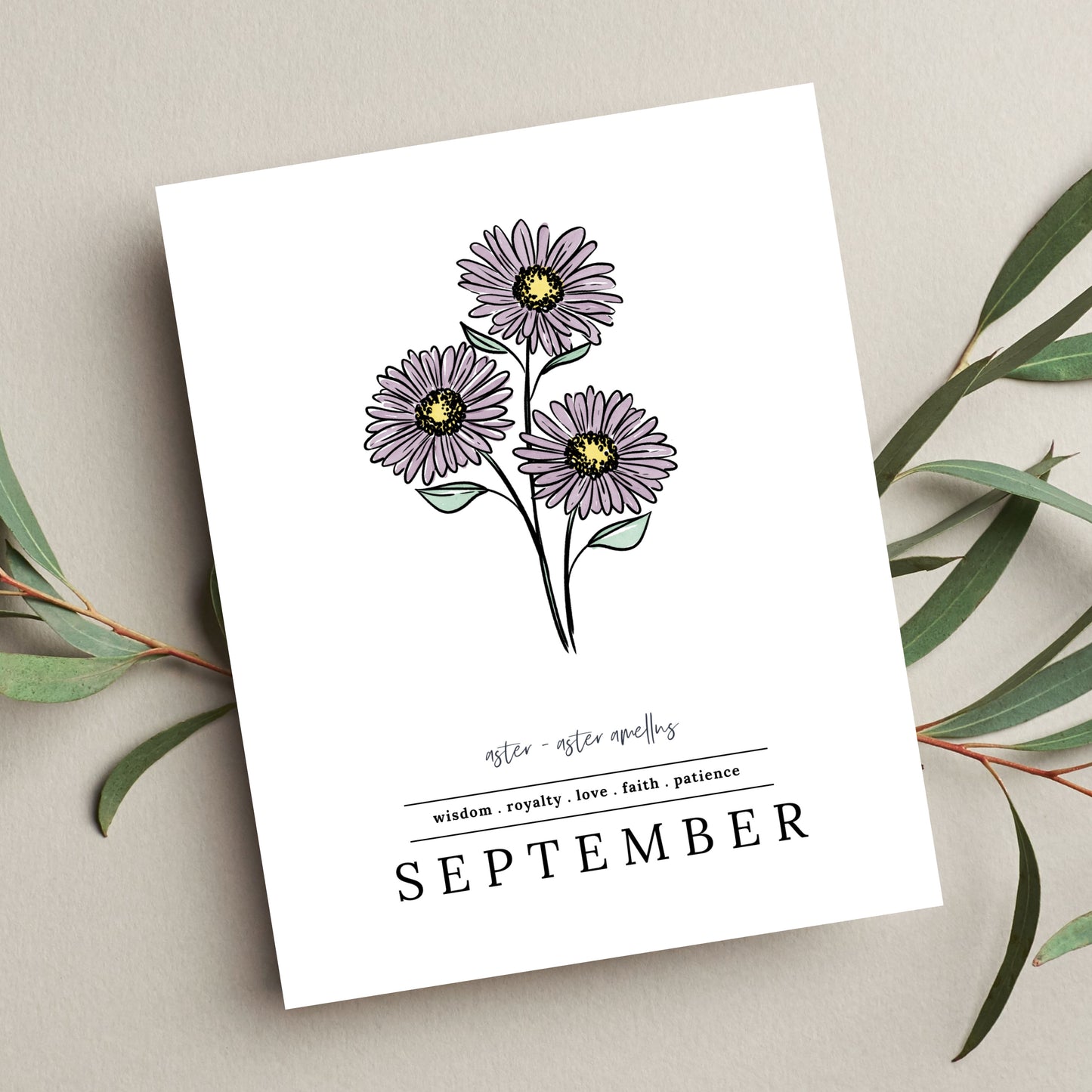 September Aster Birth Flower Unframed Art Print | Illustrated Floral Art