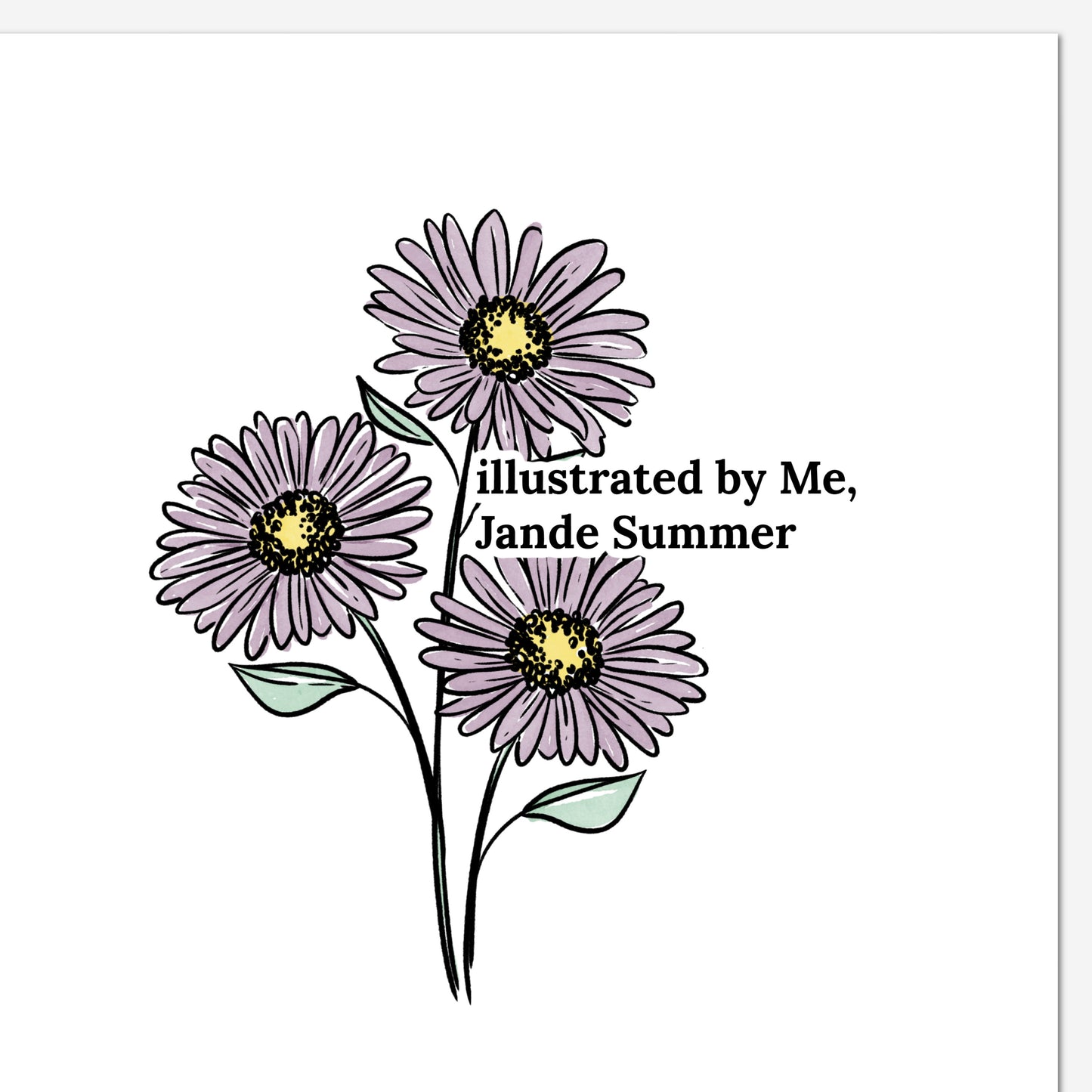 September Aster Birth Flower Unframed Art Print | Illustrated Floral Art