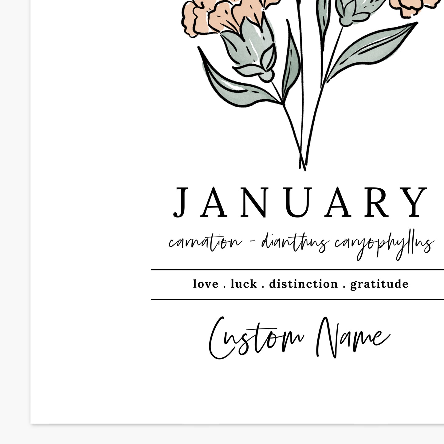 January Carnation Birth Flower Personalized Name Unframed Art Print | Gift for Birthdays | Nursery Wall Decor