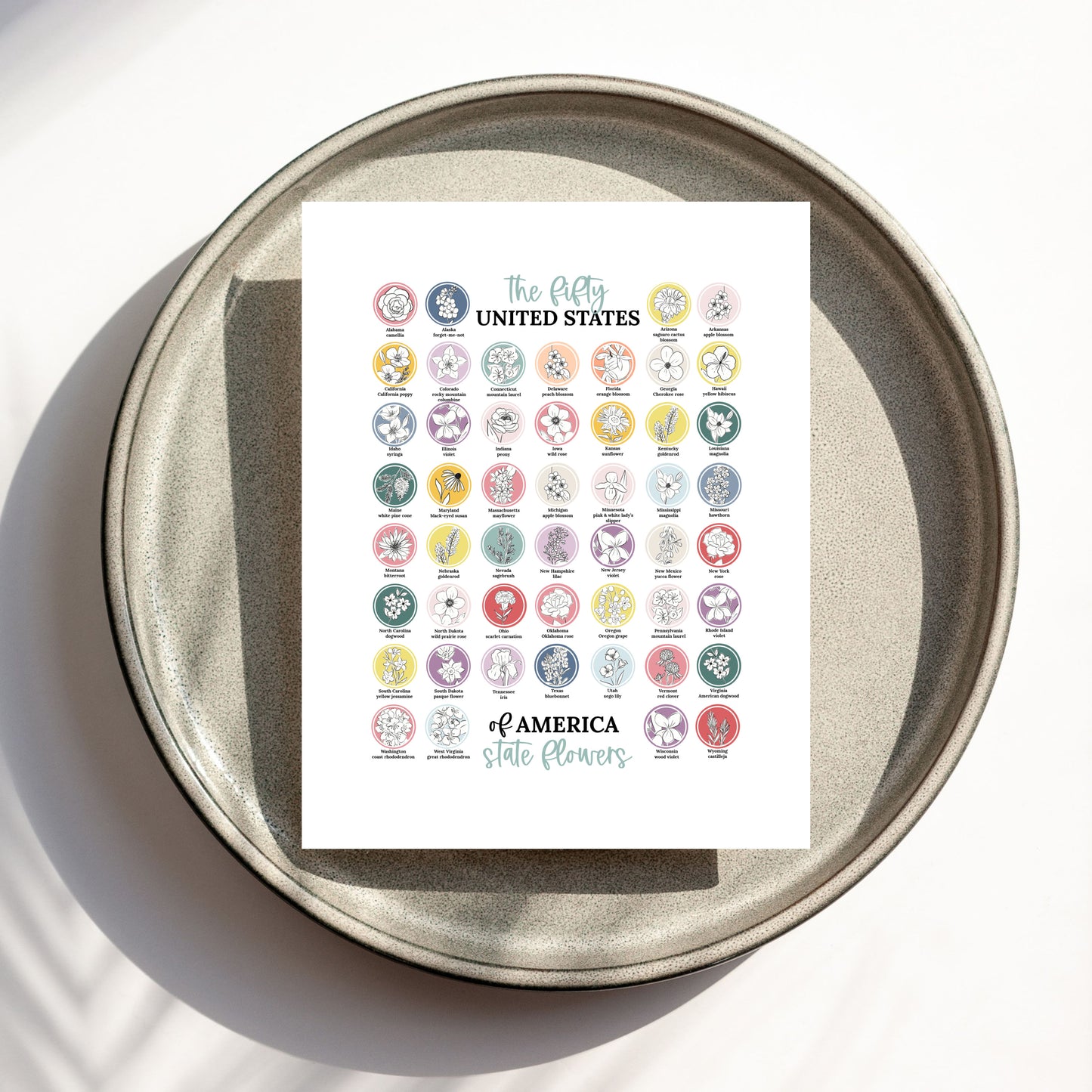 US State Flower Chart Unframed Poster Print | United States of America 50 States | 3 Sizes