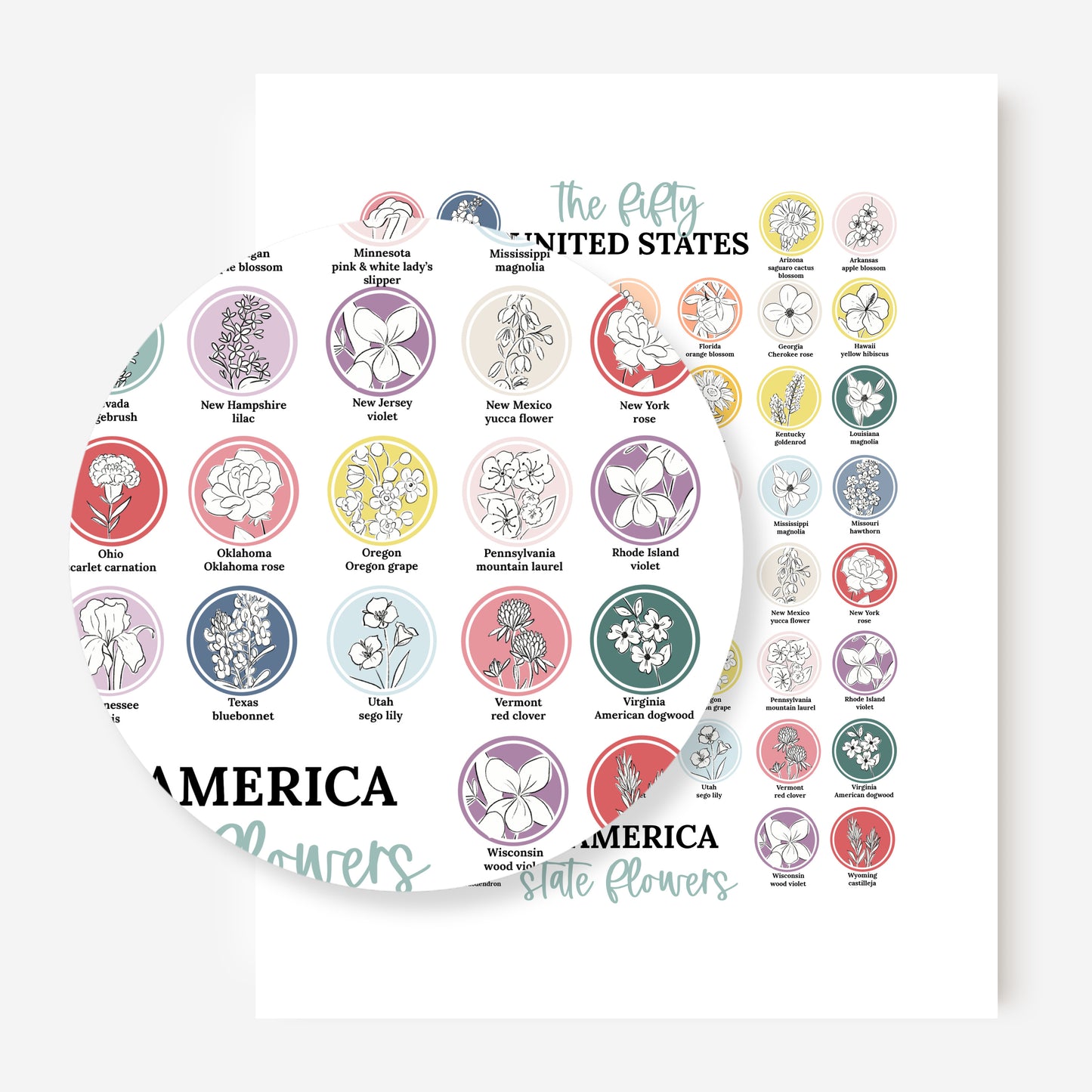 US State Flower Chart Unframed Poster Print | United States of America 50 States | 3 Sizes