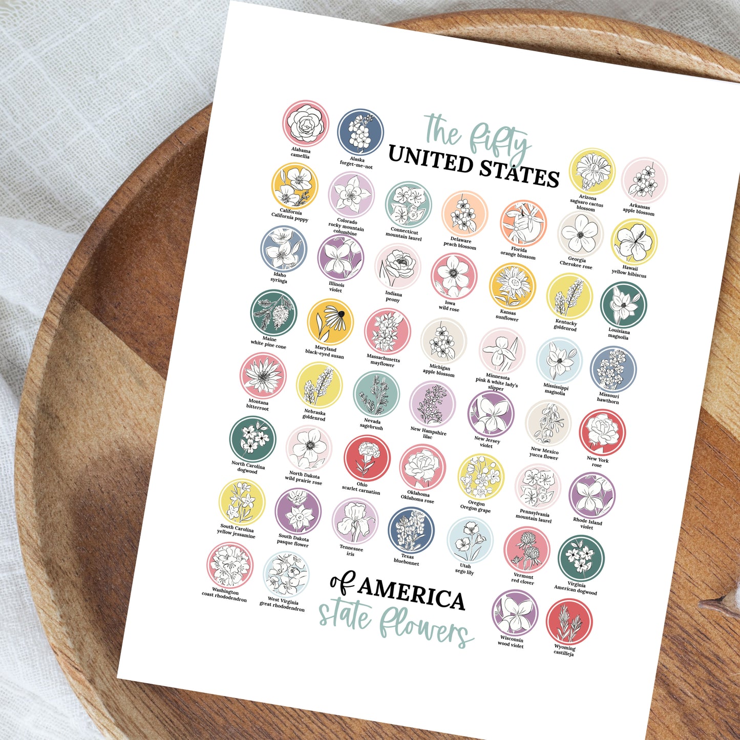 US State Flower Chart Unframed Poster Print | United States of America 50 States | 3 Sizes