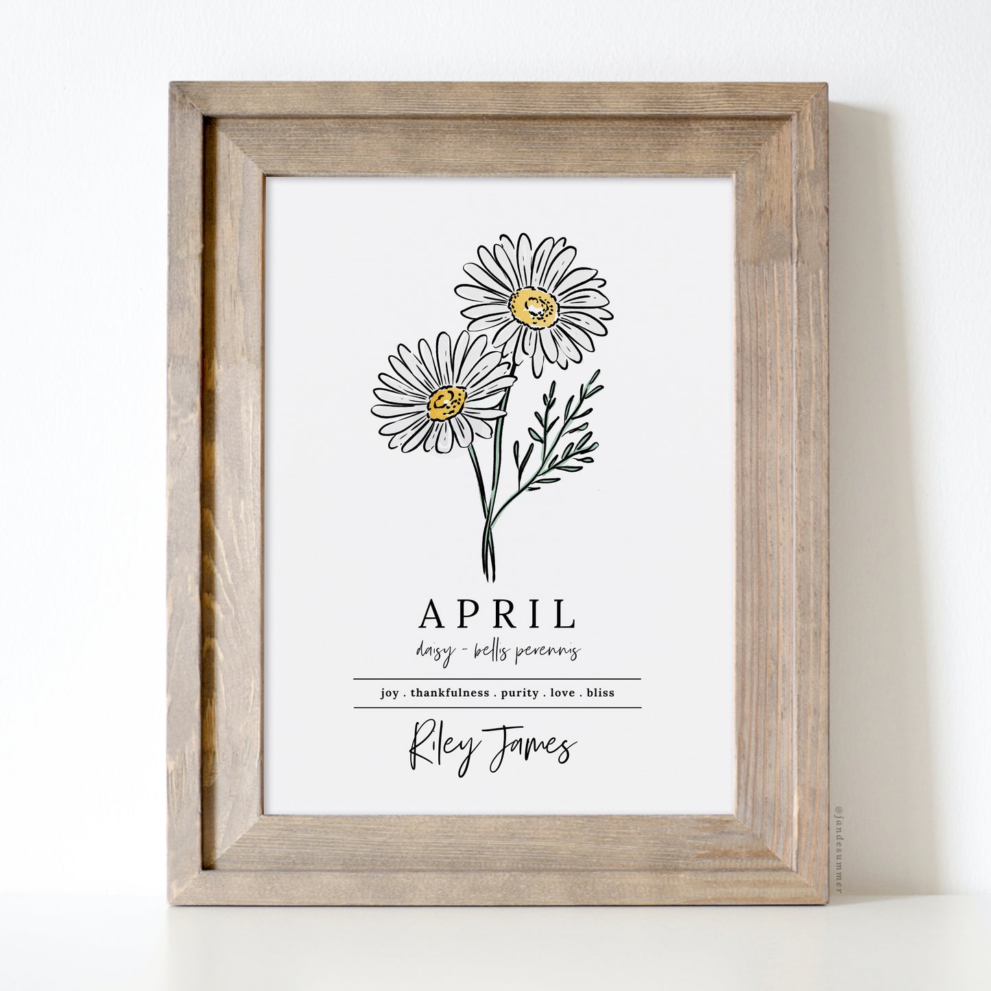 April Daisy Birth Flower Personalized Name Unframed Art Print | Custom Gift for Birthdays | Nursery Wall Decor | Floral Wall Decor