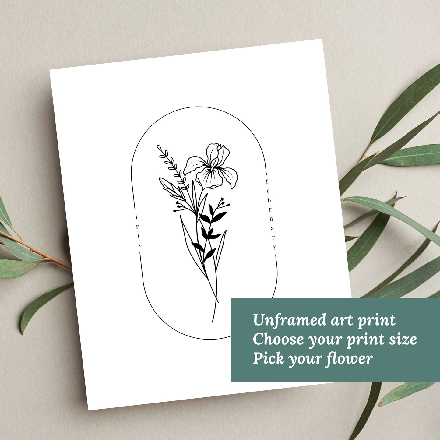 February Birth Flower Print | Iris Violet Primrose Simple Floral Wall Decor | Nursery Art Birthday Gift Remembrance Keepsake