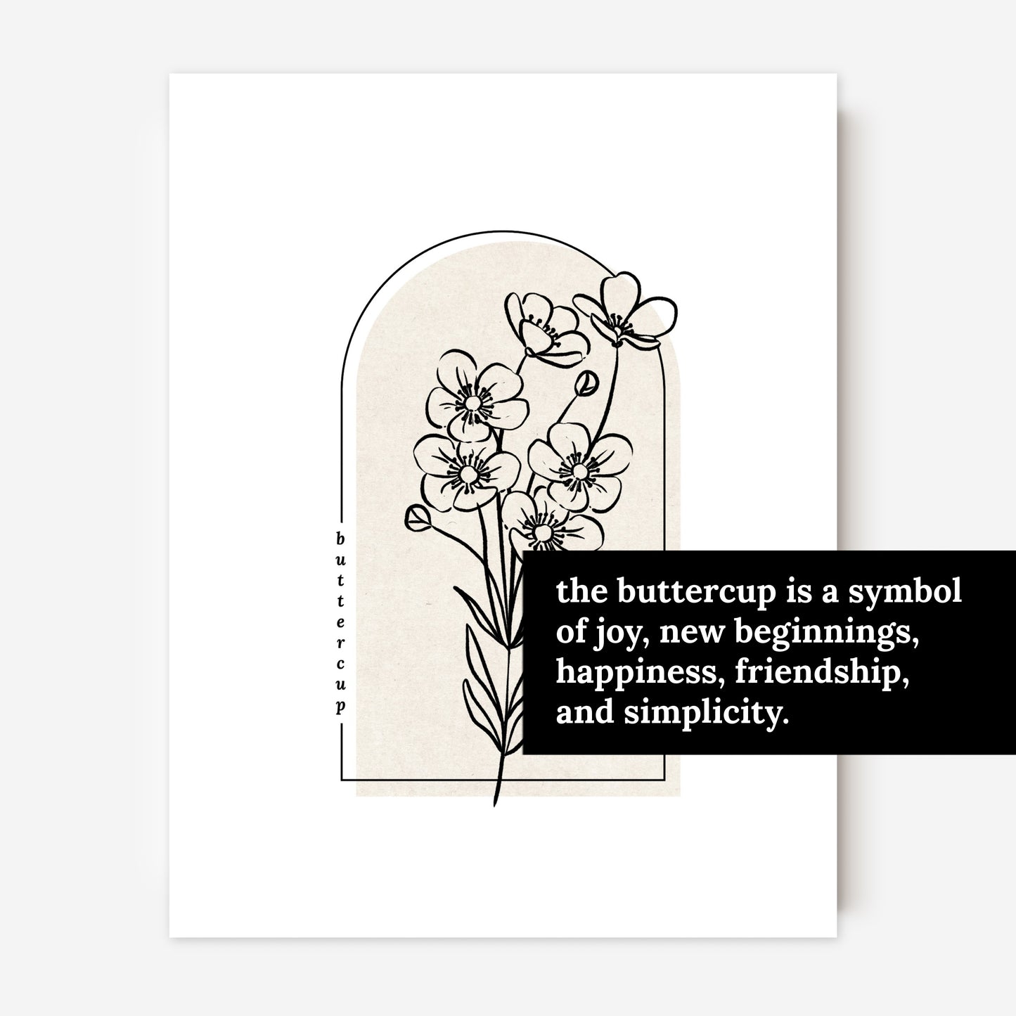 Buttercup Flower Unframed Art Print | Floral Illustration Cottagecore Garden Inspired Wall Decor