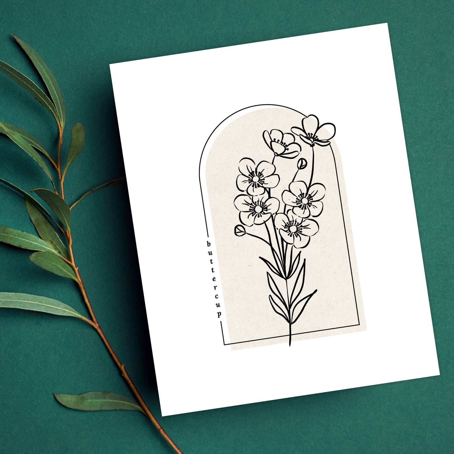Buttercup Flower Unframed Art Print | Floral Illustration Cottagecore Garden Inspired Wall Decor