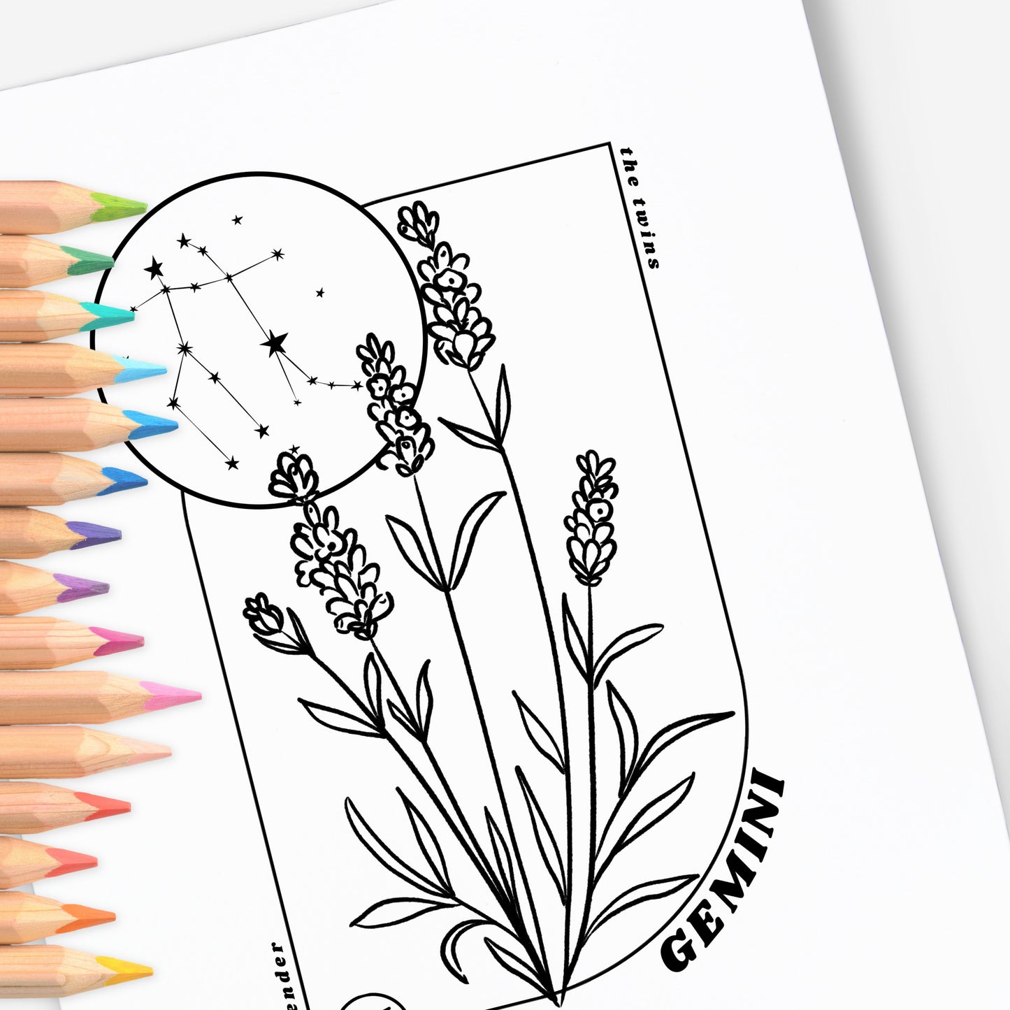 12 Zodiac Birth Flower Coloring Page Printables | Astrology Coloring Book | Floral Inspired Digital Sheets