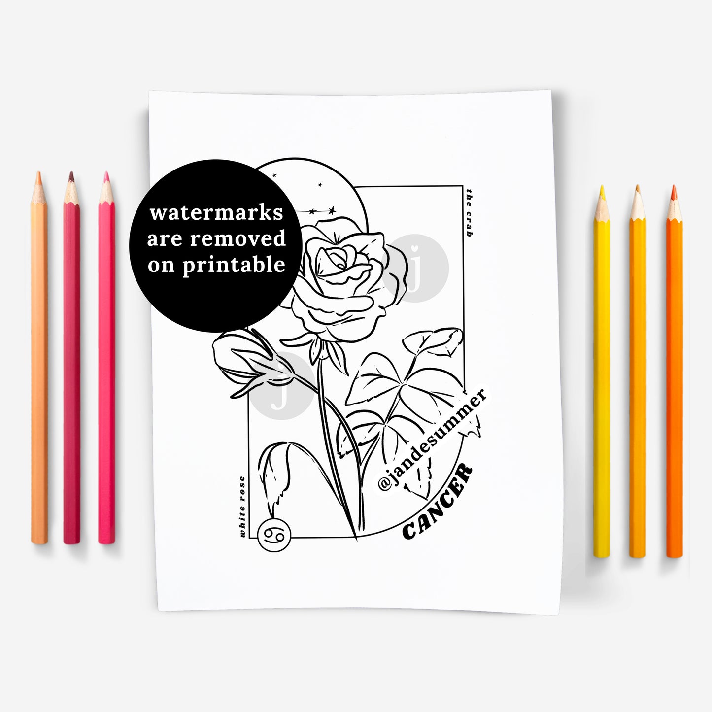 12 Zodiac Birth Flower Coloring Page Printables | Astrology Coloring Book | Floral Inspired Digital Sheets