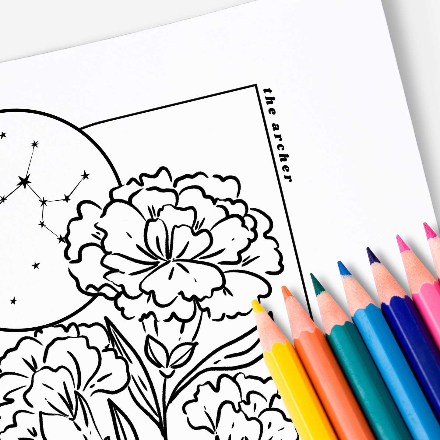 12 Zodiac Birth Flower Coloring Page Printables | Astrology Coloring Book | Floral Inspired Digital Sheets