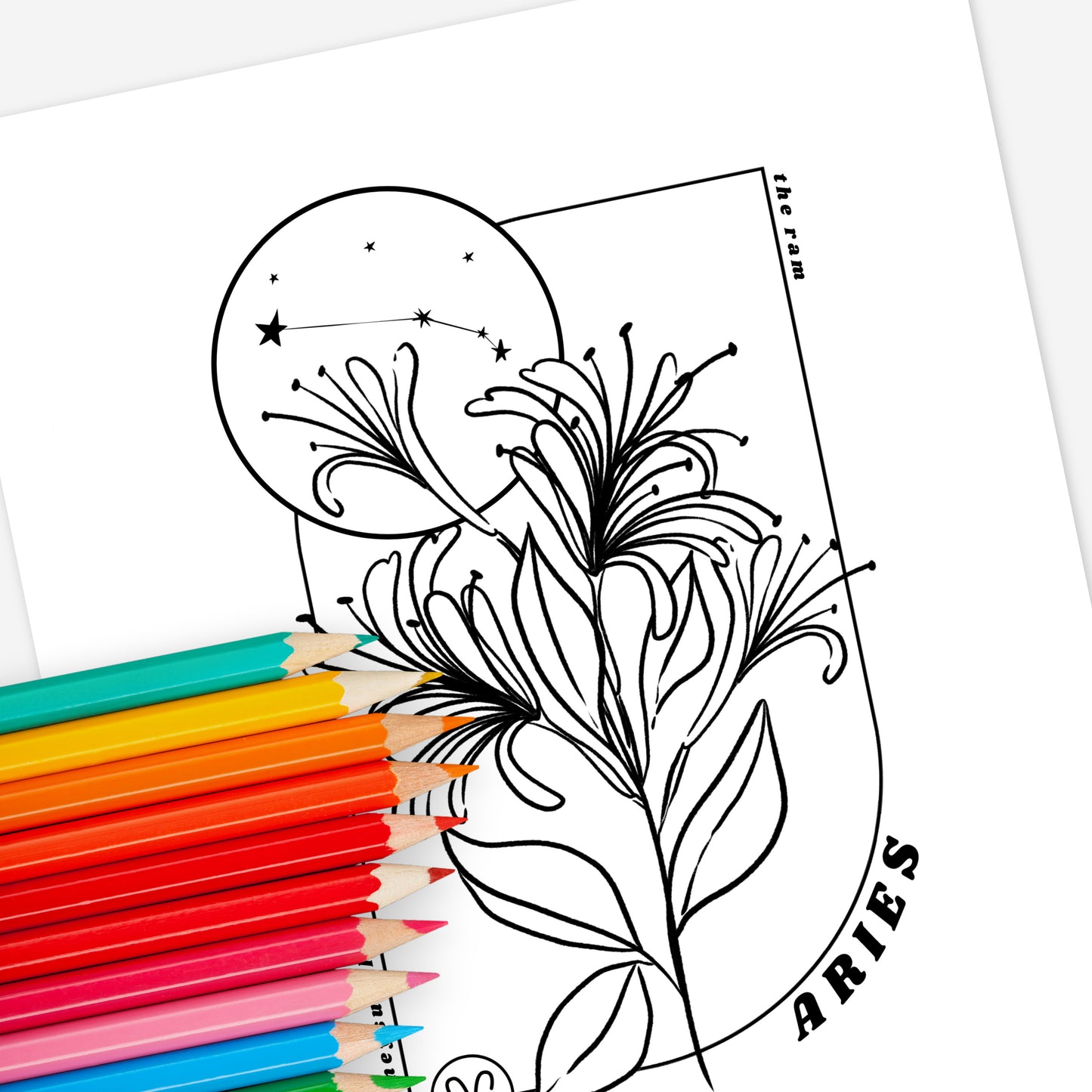 12 Zodiac Birth Flower Coloring Page Printables | Astrology Coloring Book | Floral Inspired Digital Sheets