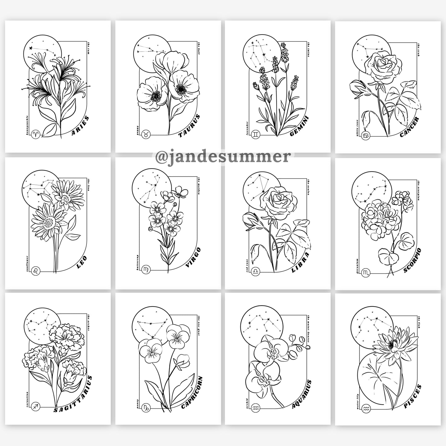 12 Zodiac Birth Flower Coloring Page Printables | Astrology Coloring Book | Floral Inspired Digital Sheets