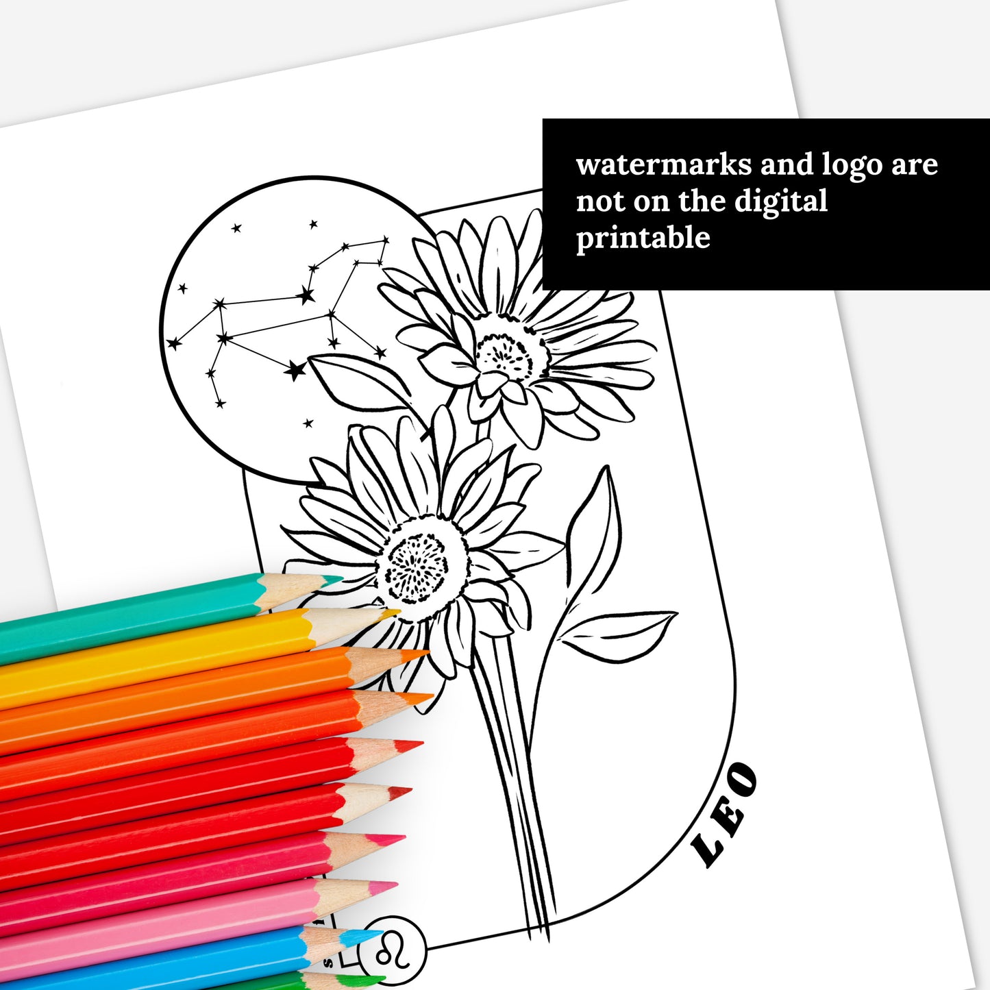 12 Zodiac Birth Flower Coloring Page Printables | Astrology Coloring Book | Floral Inspired Digital Sheets