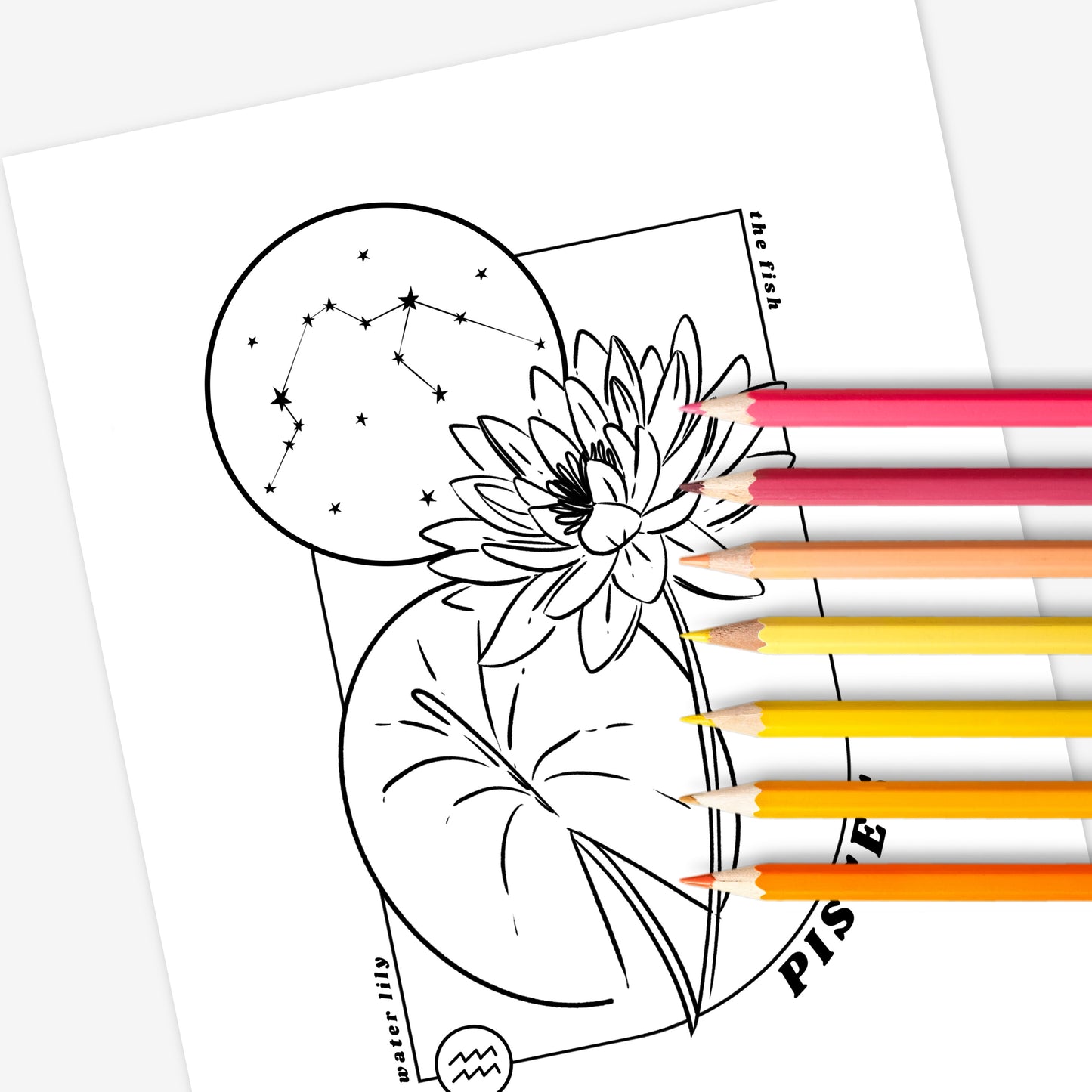 12 Zodiac Birth Flower Coloring Page Printables | Astrology Coloring Book | Floral Inspired Digital Sheets