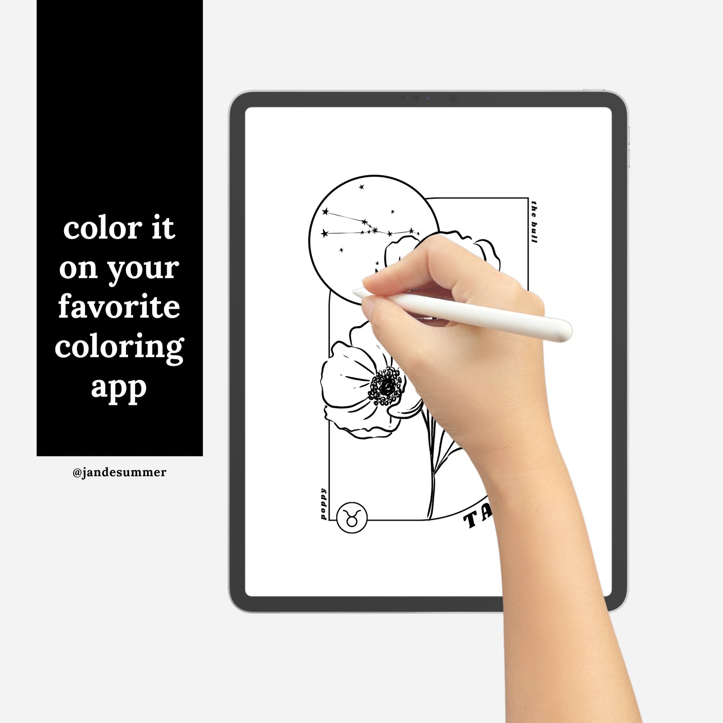 12 Zodiac Birth Flower Coloring Page Printables | Astrology Coloring Book | Floral Inspired Digital Sheets