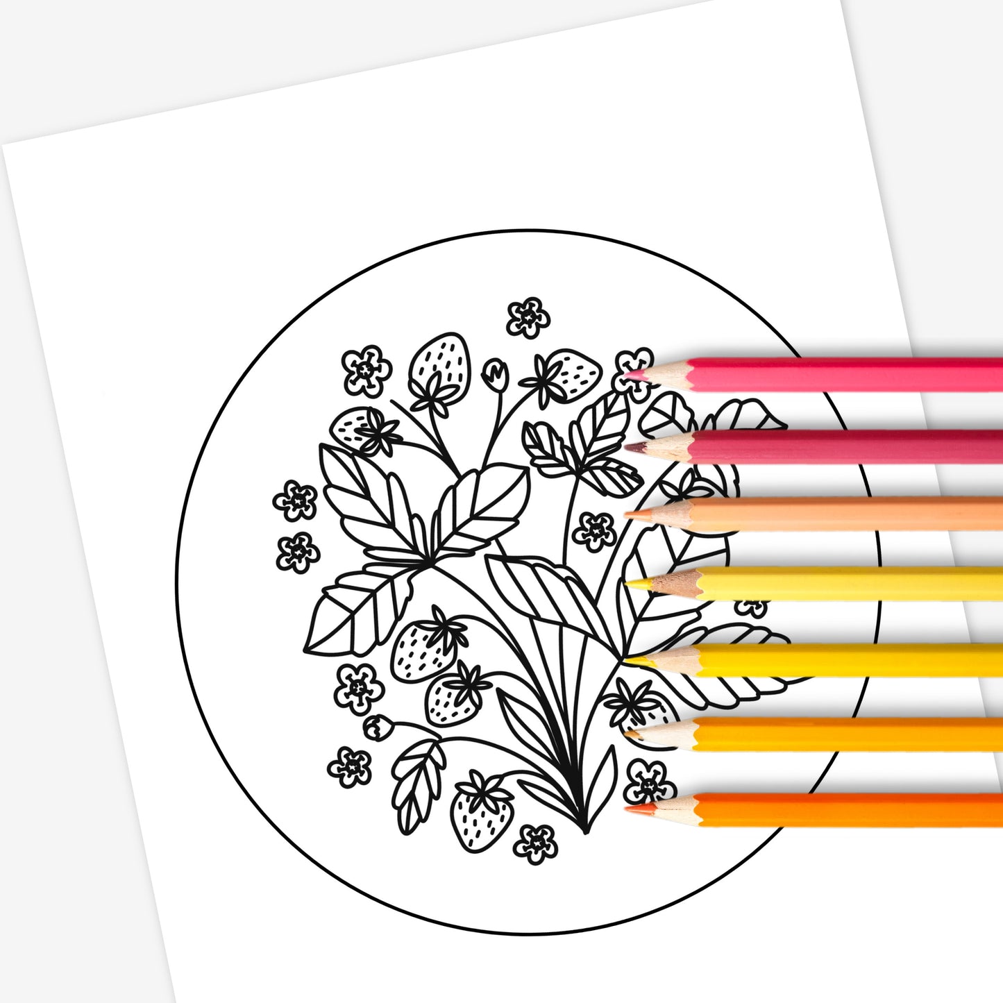 10 Pk Fruity Printable Coloring Pages Digital Color Sheets | Hand-Drawn Fruit Illustrations | Food & Fruit Doodles