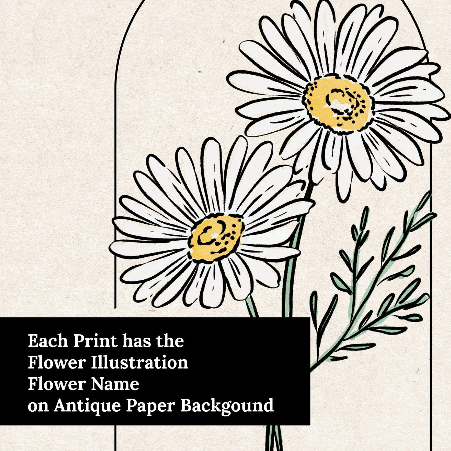 Daisy Illustration Unframed Art Print | Cottagecore Floral Wall Décor Garden Inspired Gift