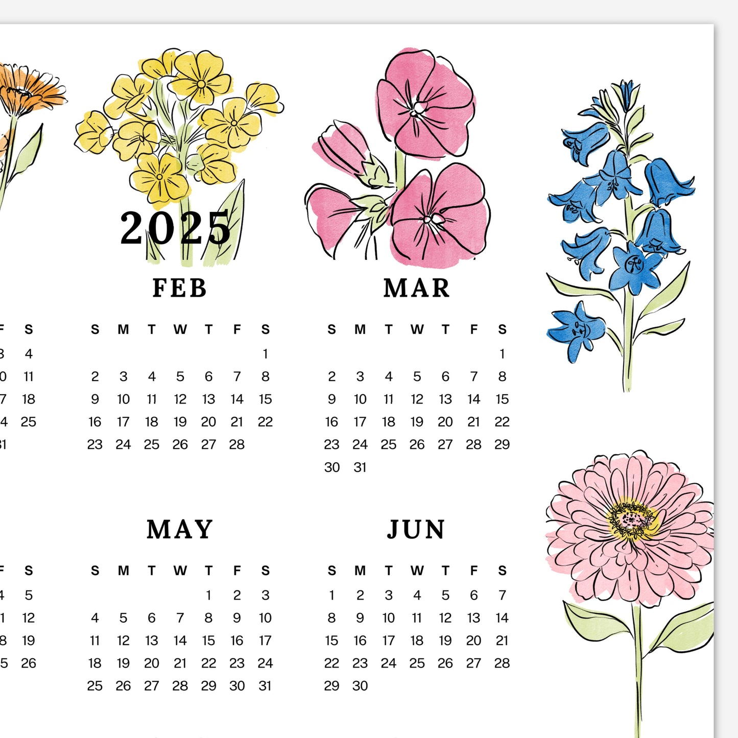 2025 Calendar Print | Floral At A Glance Unframed Art | Office Wall Decor Coworker Gift