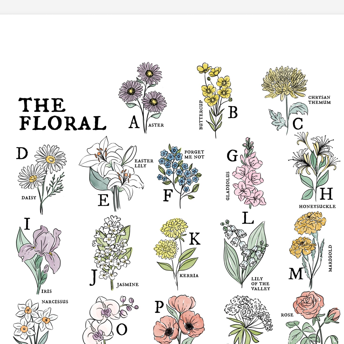 Floral Alphabet Chart | Illustrated Watercolor Flower Unframed Art Wall Decor