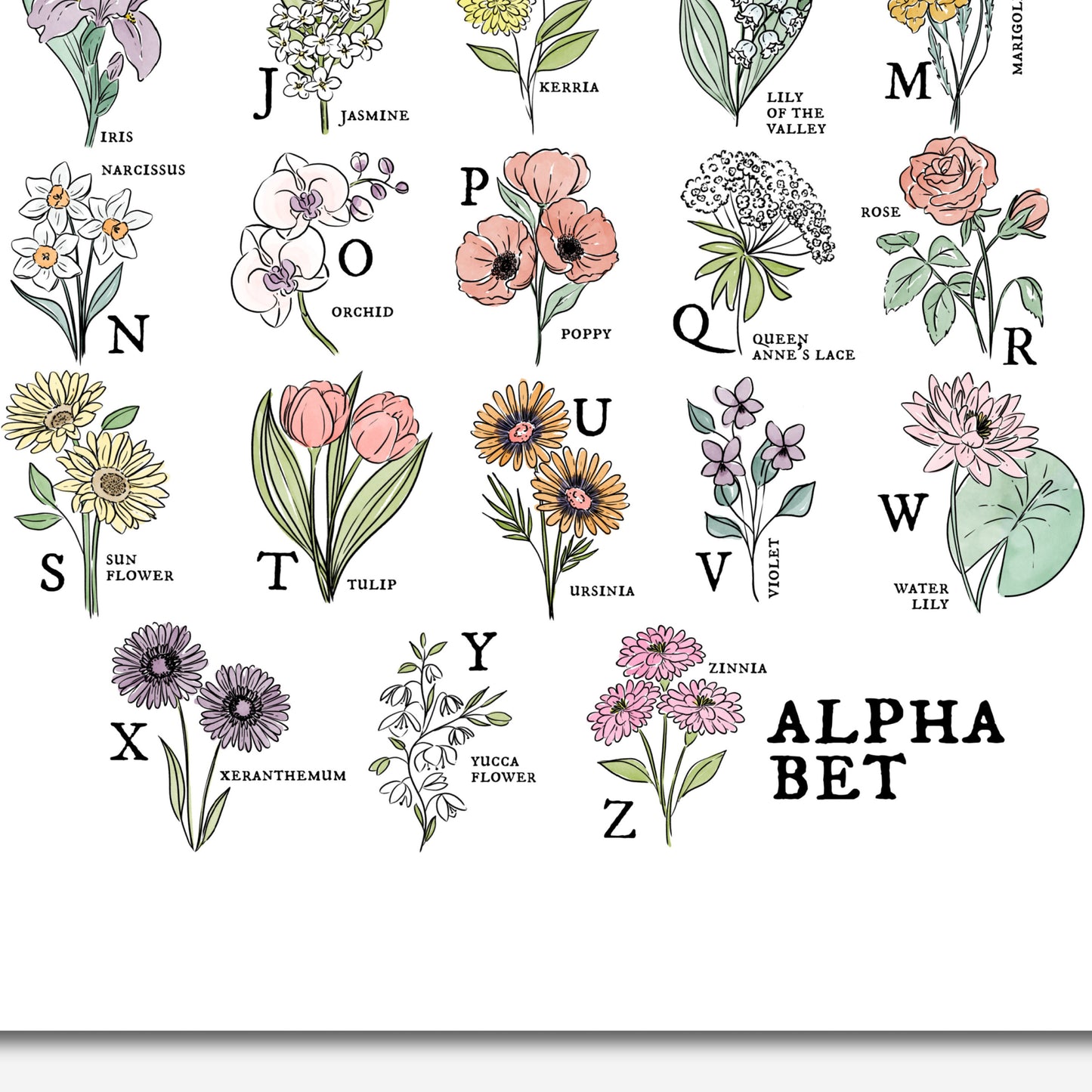 Floral Alphabet Chart | Illustrated Watercolor Flower Unframed Art Wall Decor