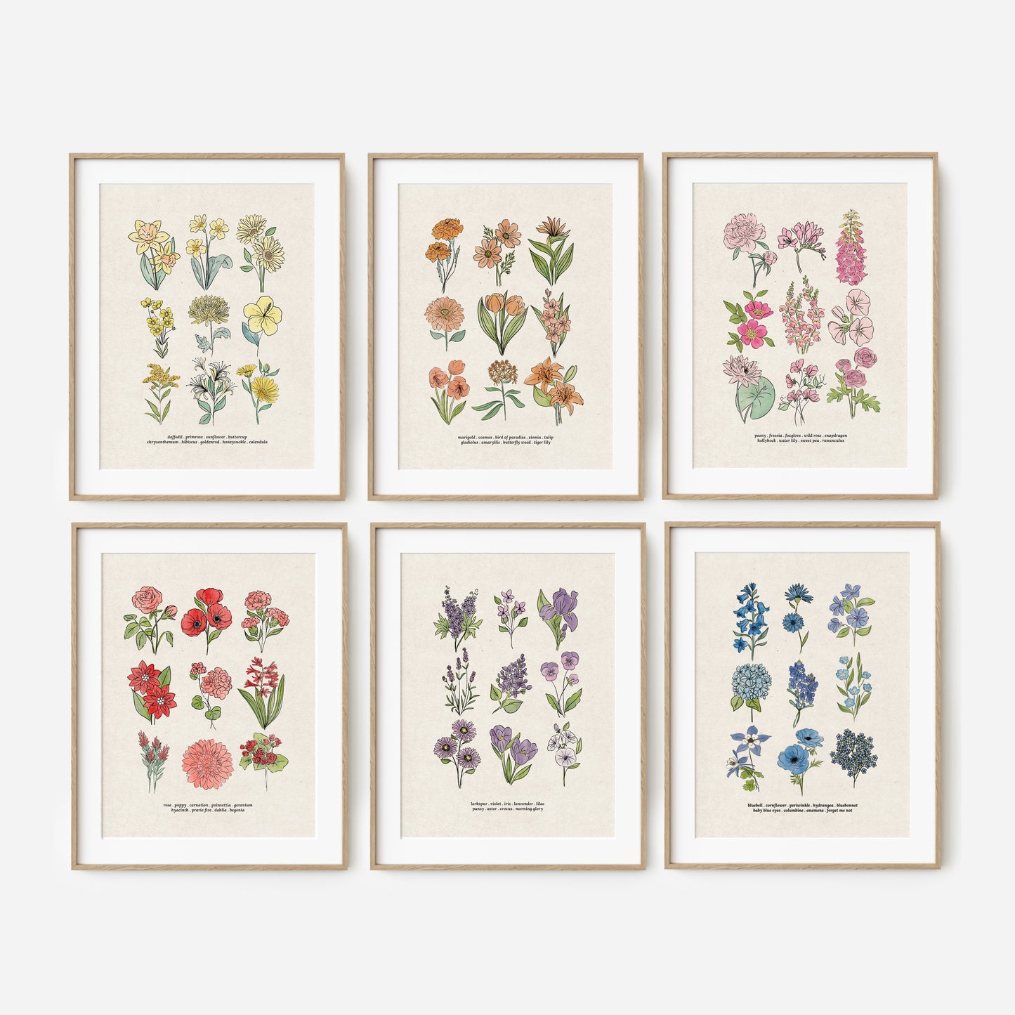 6 Flower Charts Unframed Art Prints | Colorful Antique Style | Yellow Orange Pink Red Purple Blue Floral | Garden Inspired Art