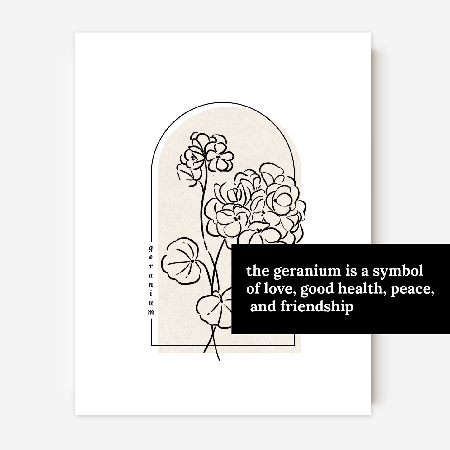 Geranium Flower Unframed Art Print | Floral Illustration Cottagecore Garden Inspired Wall Decor