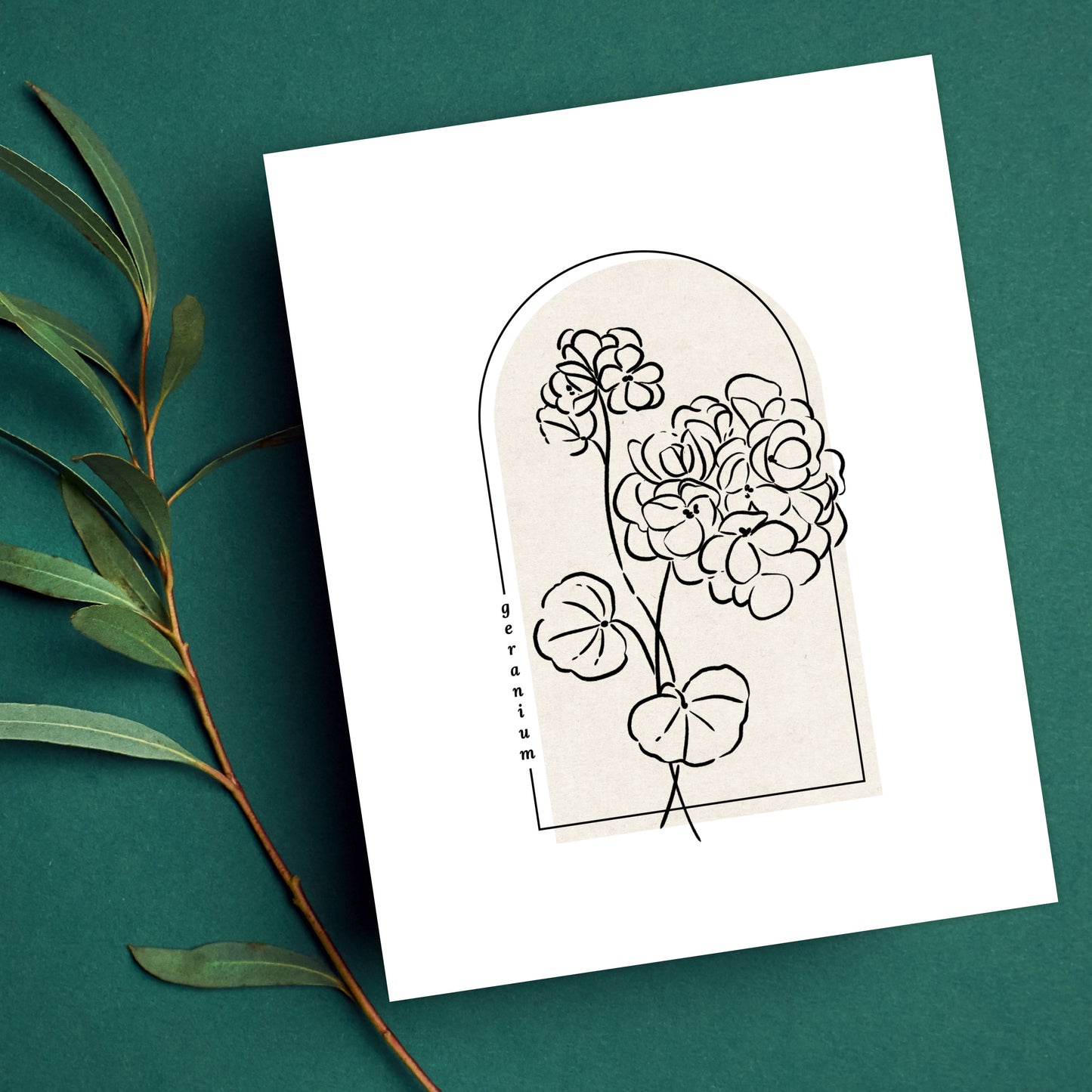 Geranium Flower Unframed Art Print | Floral Illustration Cottagecore Garden Inspired Wall Decor
