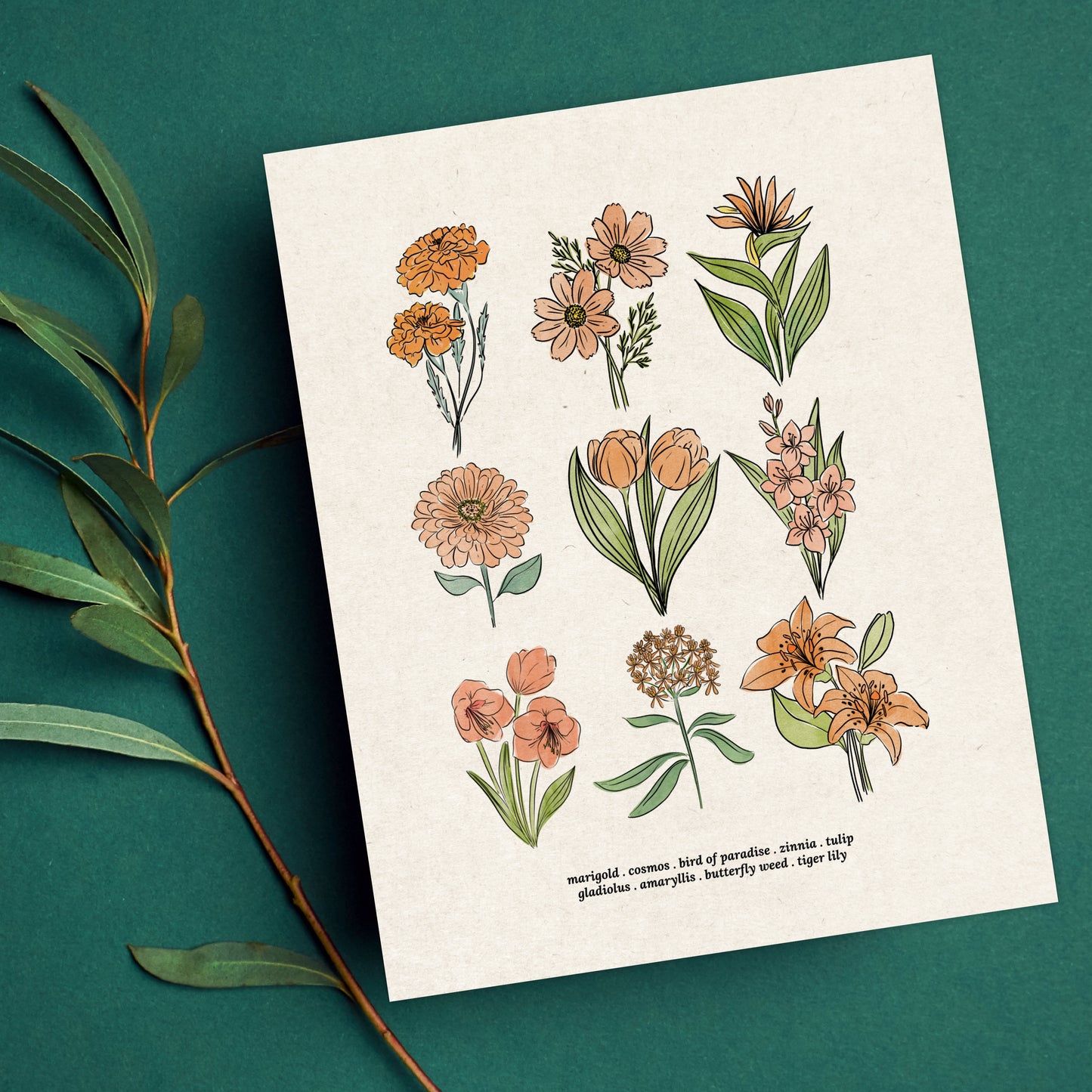 6 Flower Charts Unframed Art Prints | Colorful Antique Style | Yellow Orange Pink Red Purple Blue Floral | Garden Inspired Art