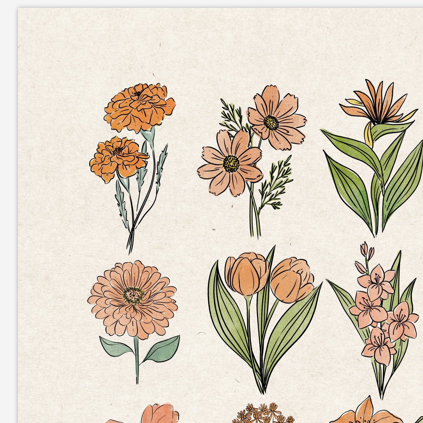 6 Flower Charts Unframed Art Prints | Colorful Antique Style | Yellow Orange Pink Red Purple Blue Floral | Garden Inspired Art