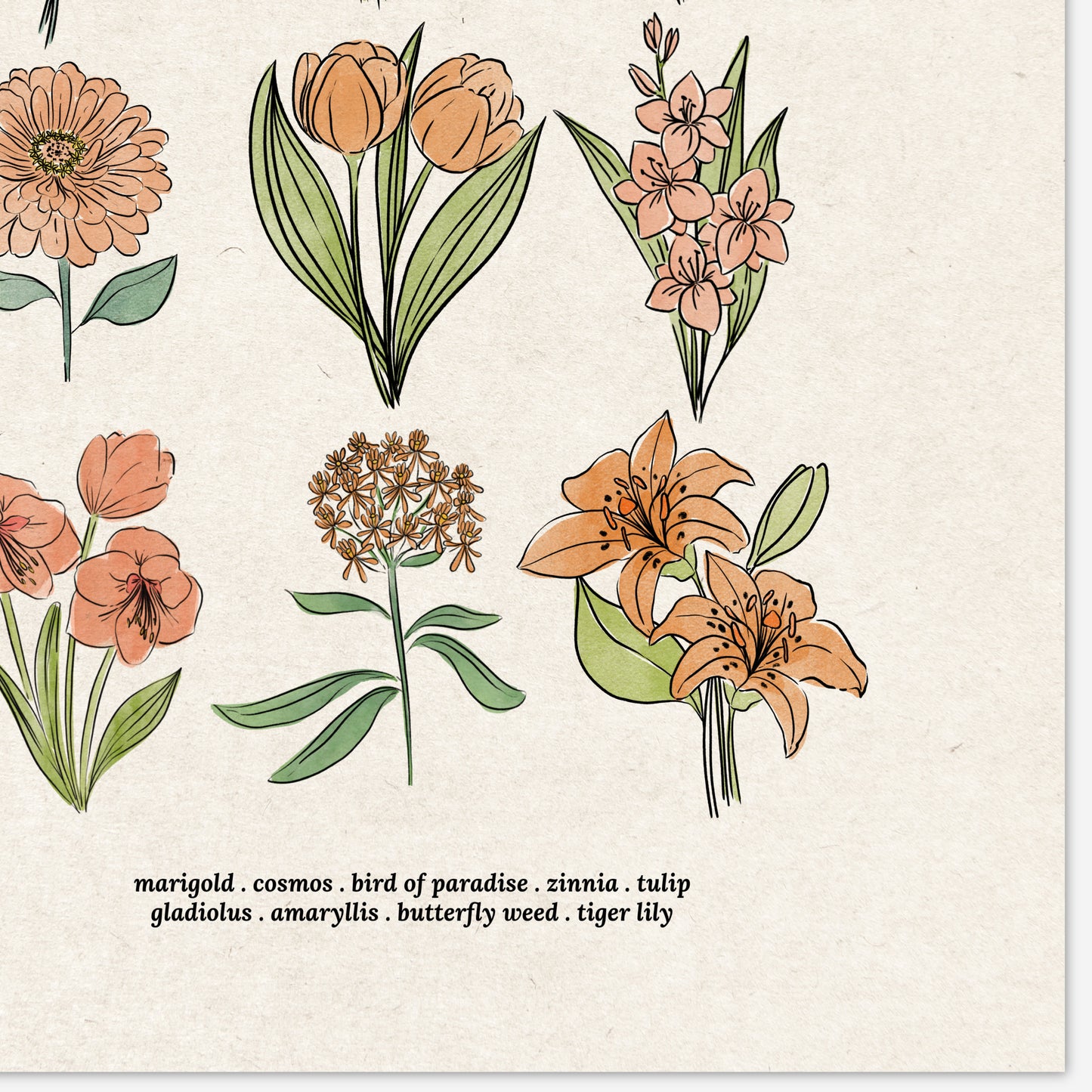 6 Flower Charts Unframed Art Prints | Colorful Antique Style | Yellow Orange Pink Red Purple Blue Floral | Garden Inspired Art