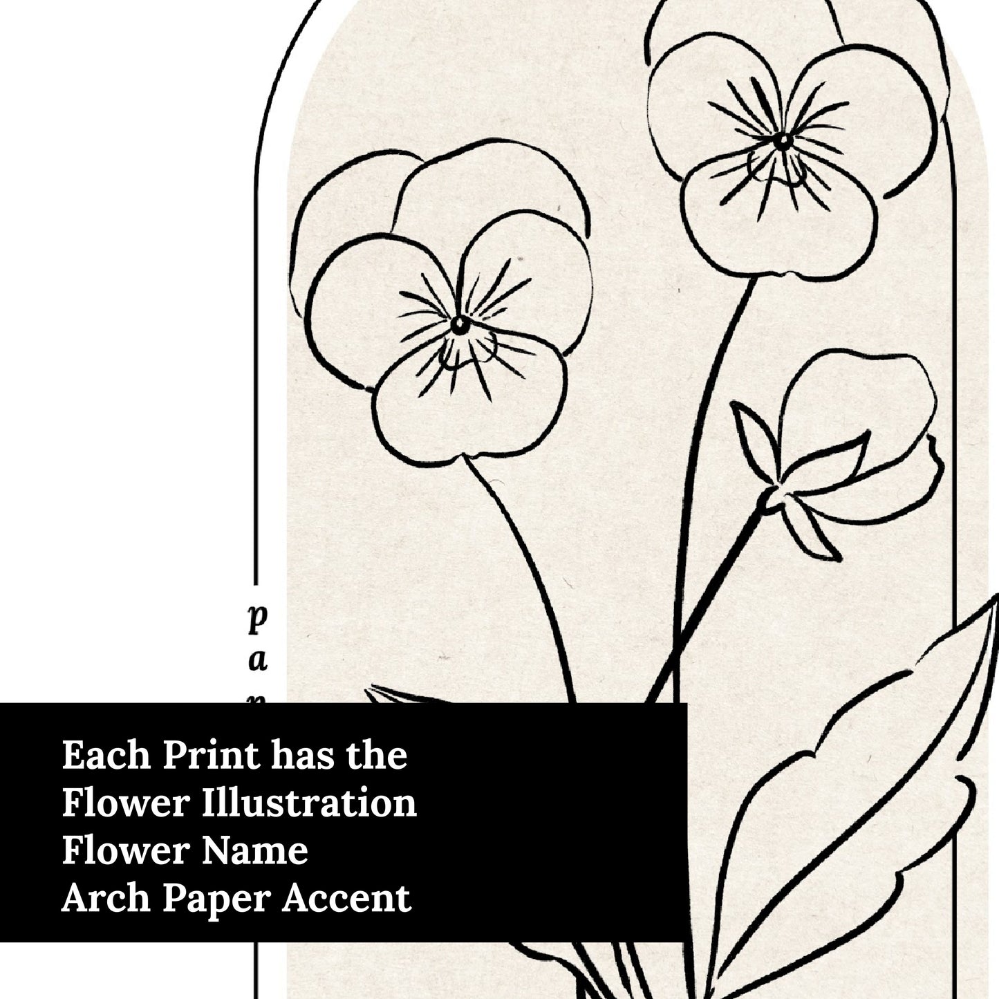 Pansies Flower Unframed Art Print | Floral Illustration Cottagecore Garden Inspired Wall Decor