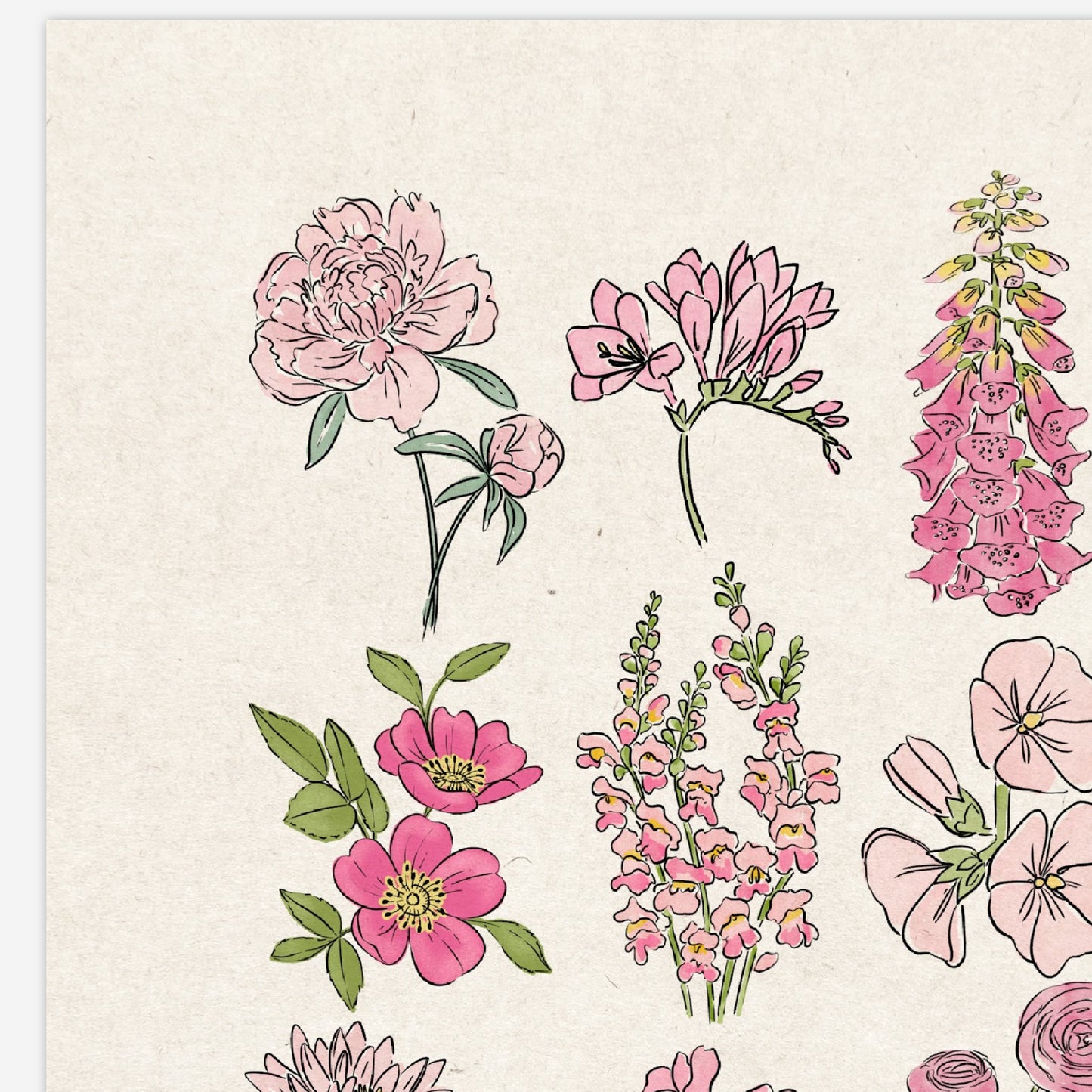 6 Flower Charts Unframed Art Prints | Colorful Antique Style | Yellow Orange Pink Red Purple Blue Floral | Garden Inspired Art