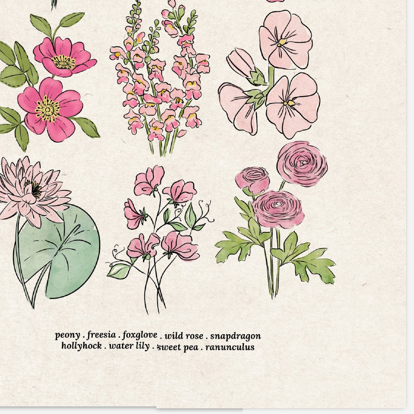 6 Flower Charts Unframed Art Prints | Colorful Antique Style | Yellow Orange Pink Red Purple Blue Floral | Garden Inspired Art