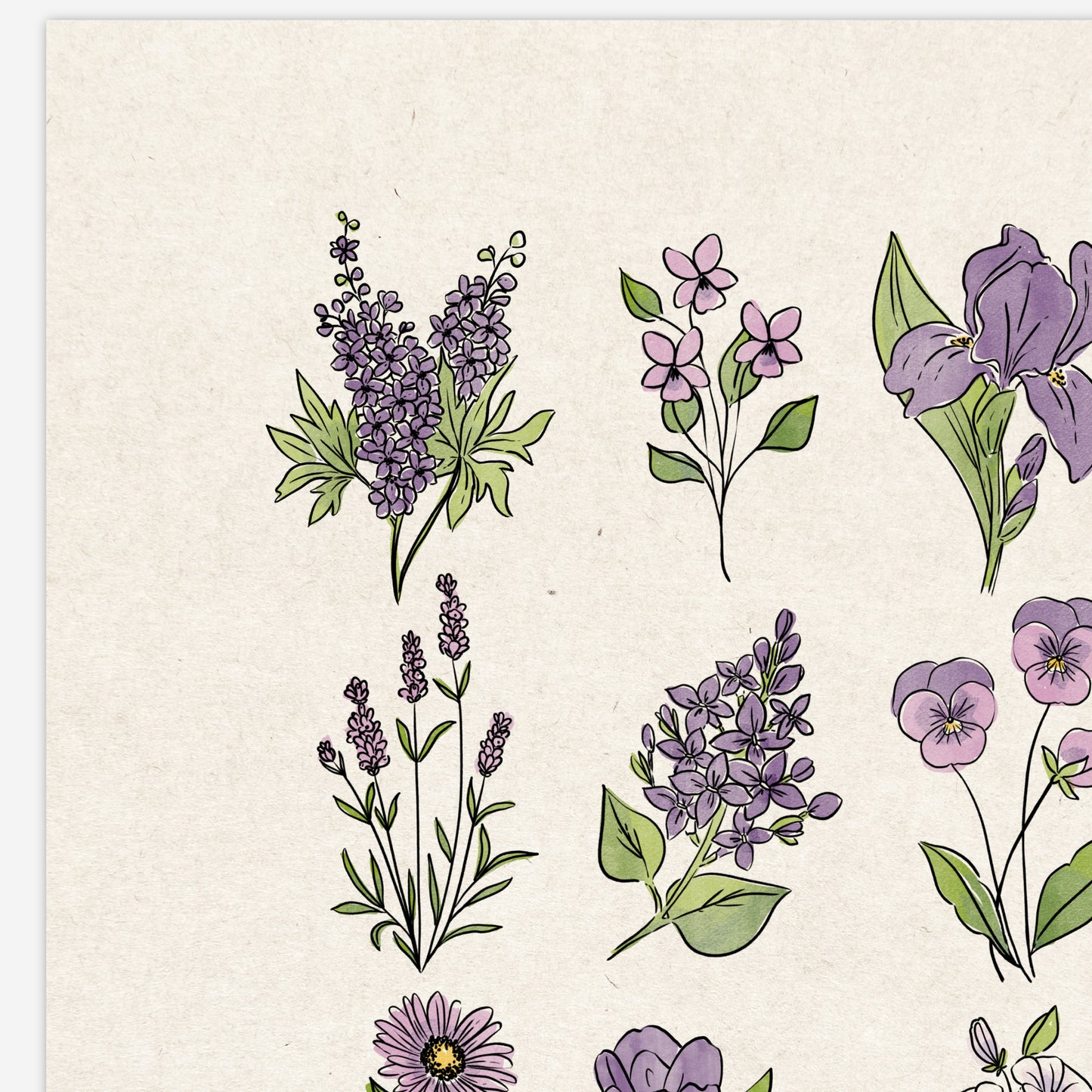 6 Flower Charts Unframed Art Prints | Colorful Antique Style | Yellow Orange Pink Red Purple Blue Floral | Garden Inspired Art