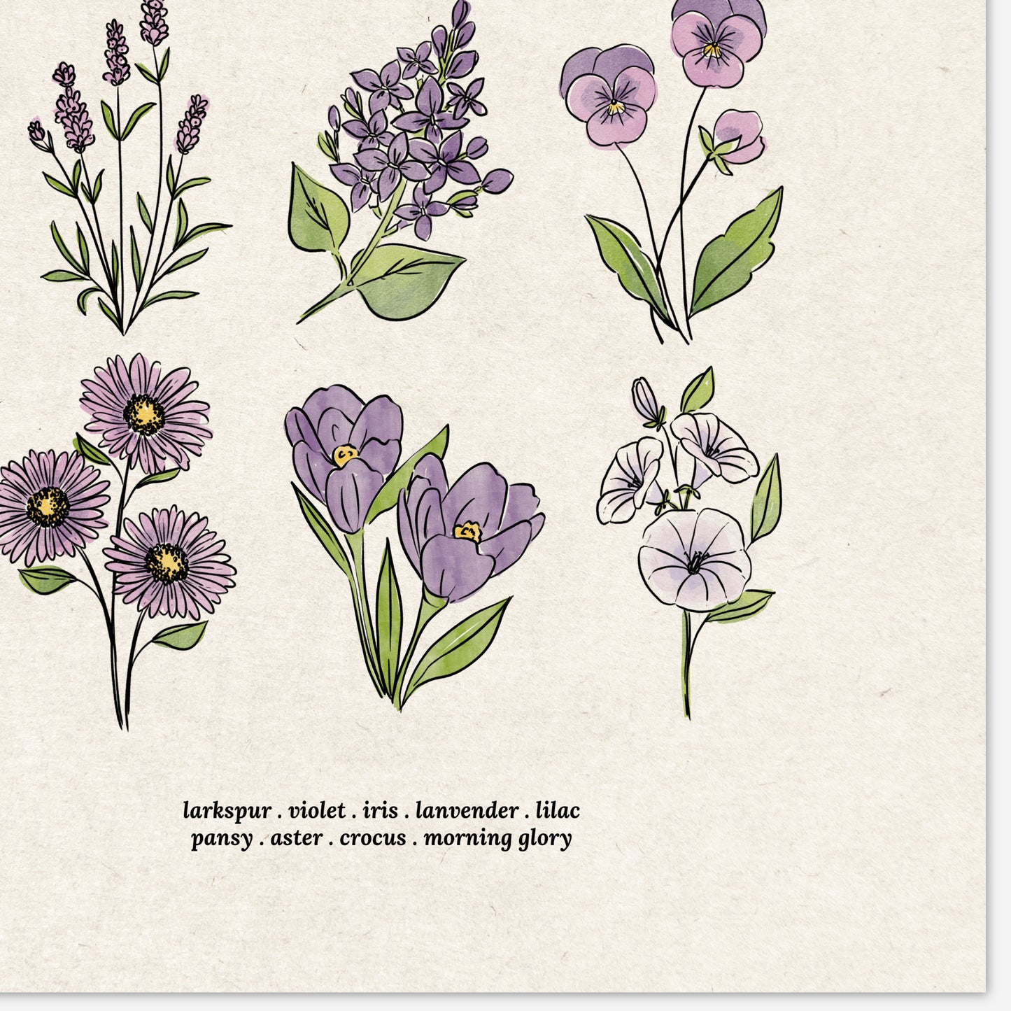 6 Flower Charts Unframed Art Prints | Colorful Antique Style | Yellow Orange Pink Red Purple Blue Floral | Garden Inspired Art