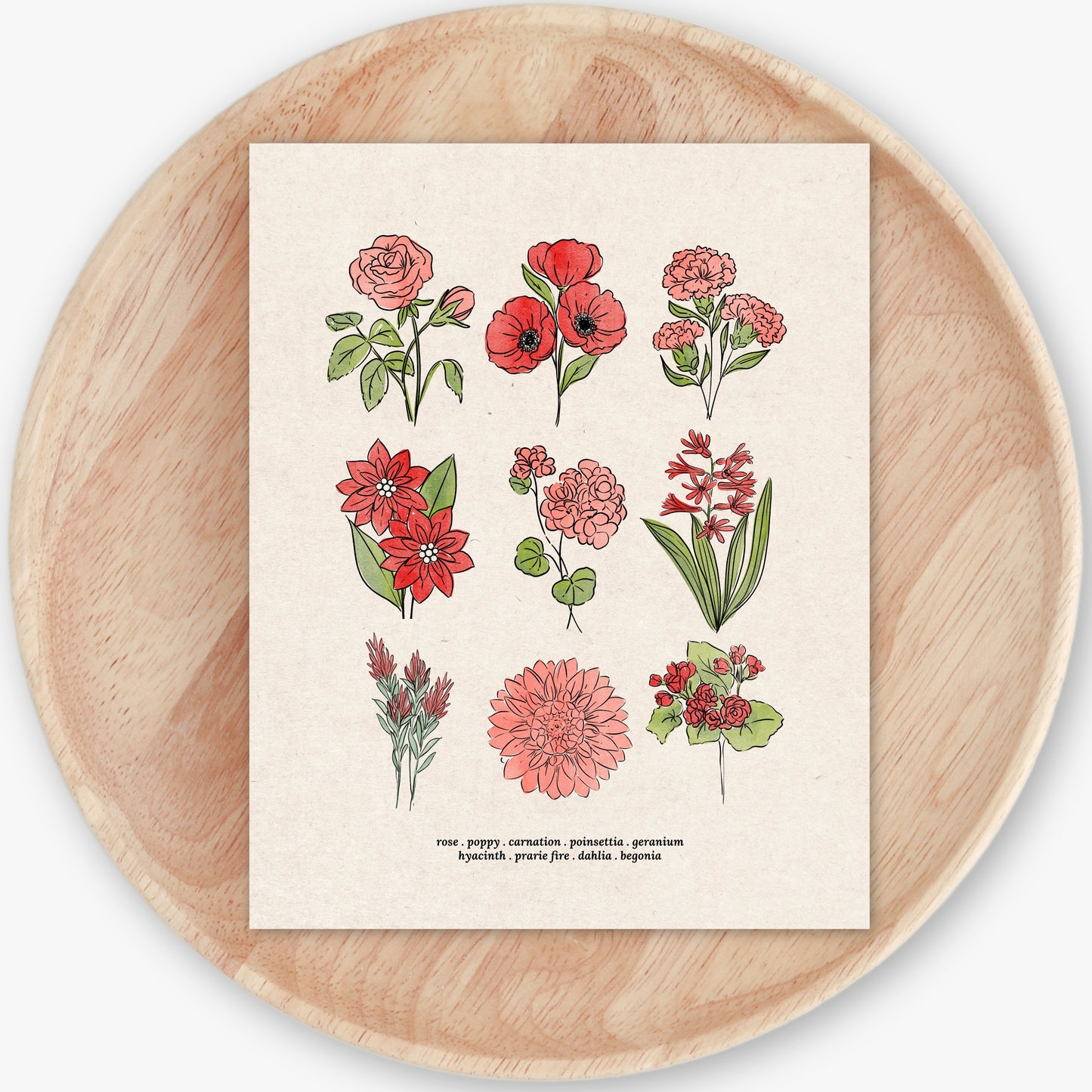 Red Flower Chart Unframed Art Print | Antique Paper Background | Poppy Rose Carnation Geranium Garden Inspired Art