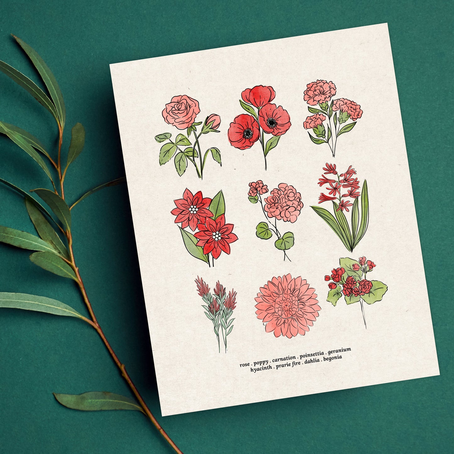 Red Flower Chart Unframed Art Print | Antique Paper Background | Poppy Rose Carnation Geranium Garden Inspired Art
