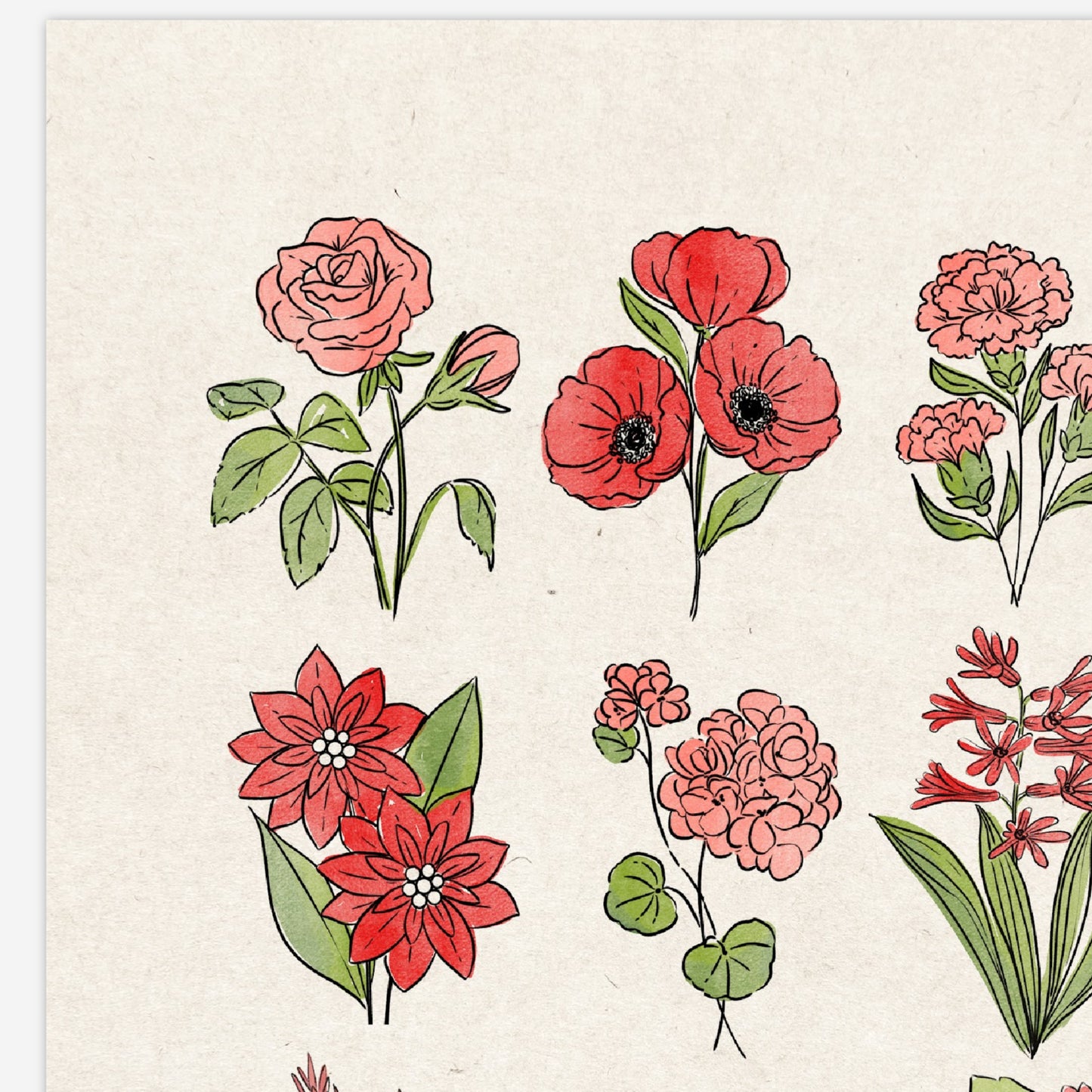 6 Flower Charts Unframed Art Prints | Colorful Antique Style | Yellow Orange Pink Red Purple Blue Floral | Garden Inspired Art