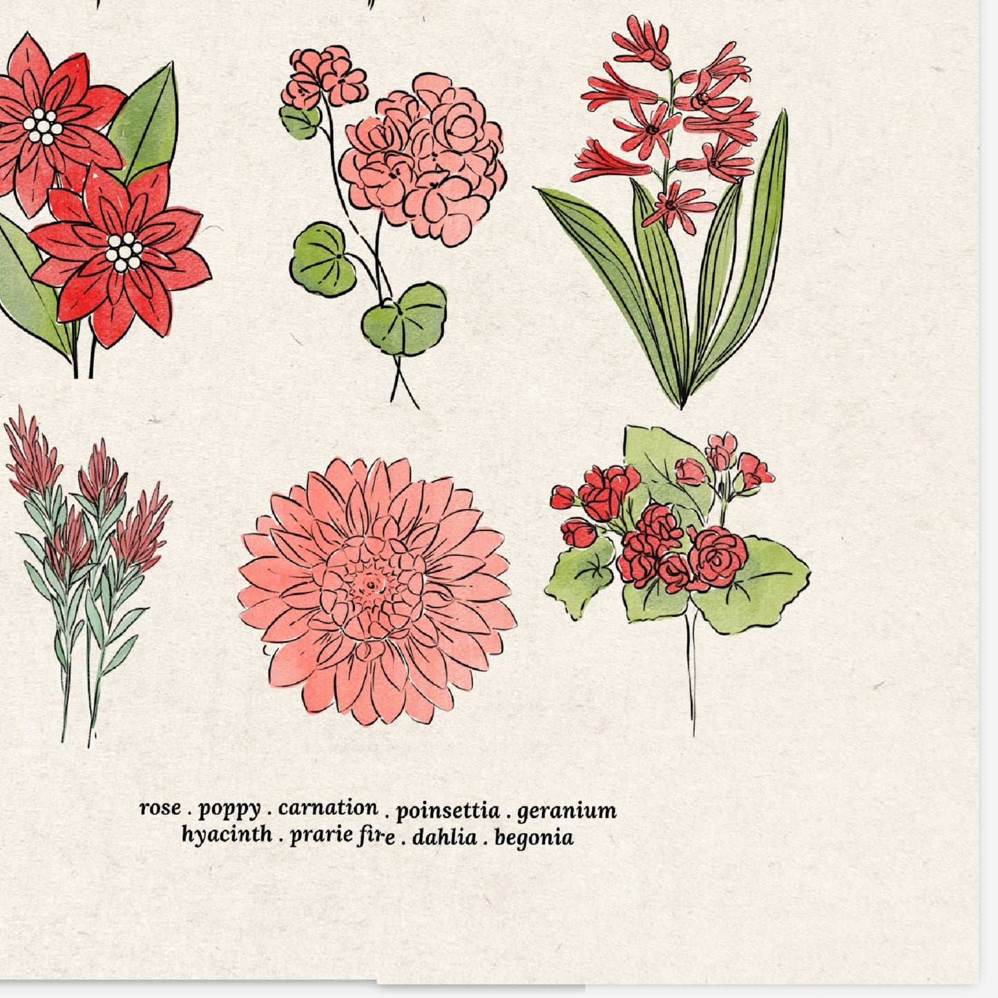 6 Flower Charts Unframed Art Prints | Colorful Antique Style | Yellow Orange Pink Red Purple Blue Floral | Garden Inspired Art