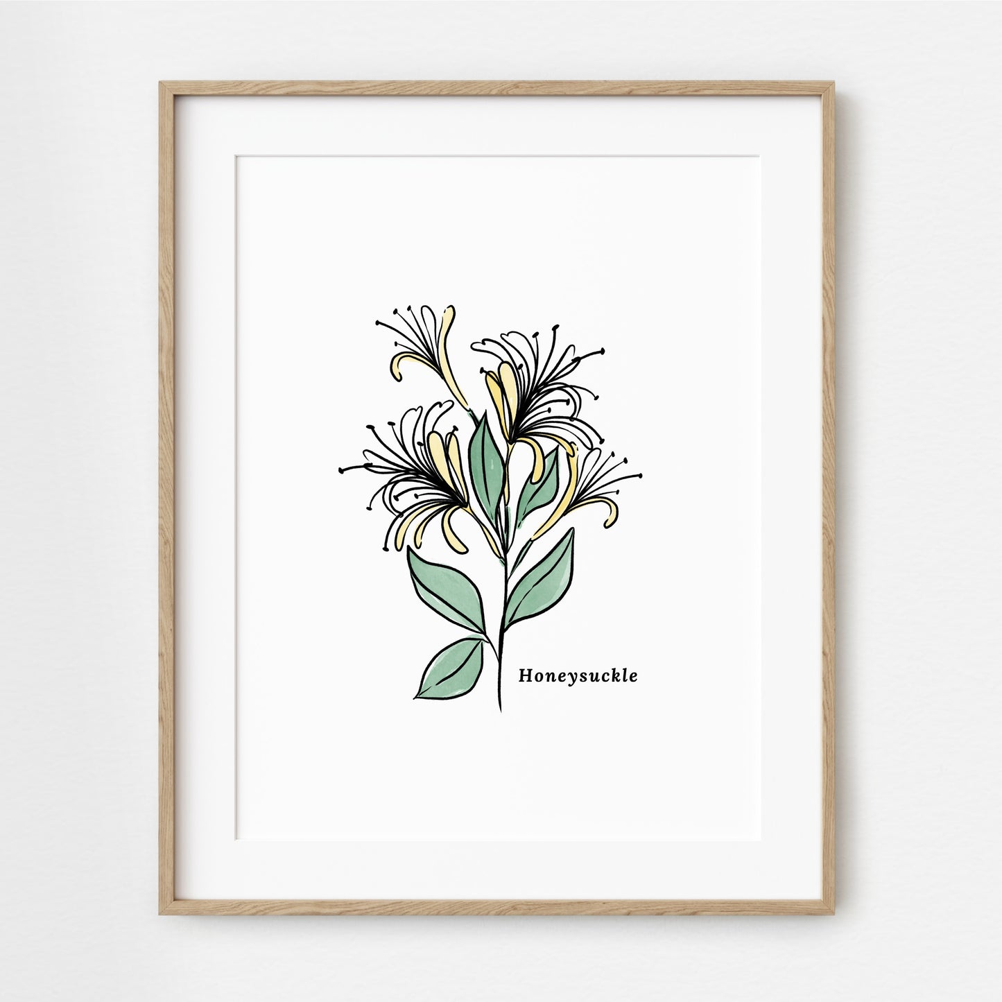 Honeysuckle Flower Illustration Printables | 4 Styles Included Watercolor Antique Sketched Floral Decor