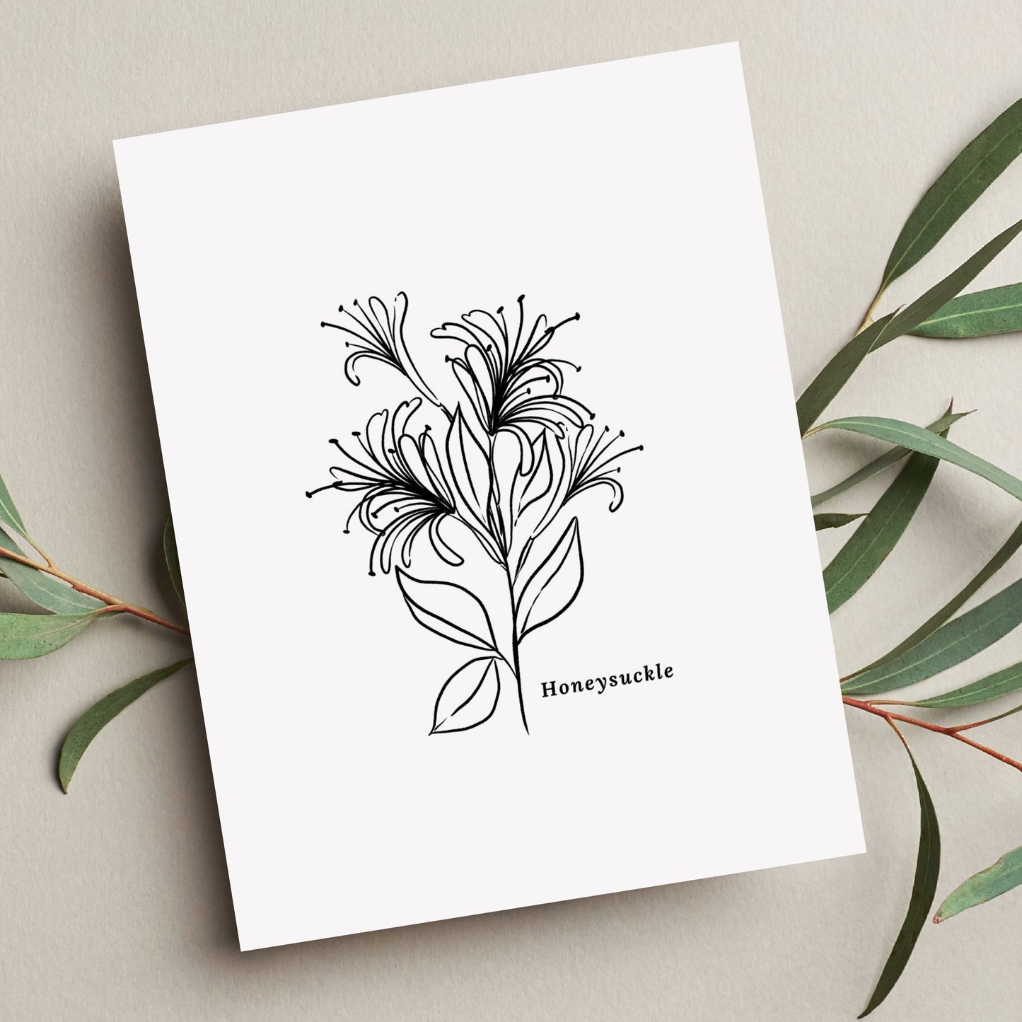 Honeysuckle Flower Illustration Printables | 4 Styles Included Watercolor Antique Sketched Floral Decor
