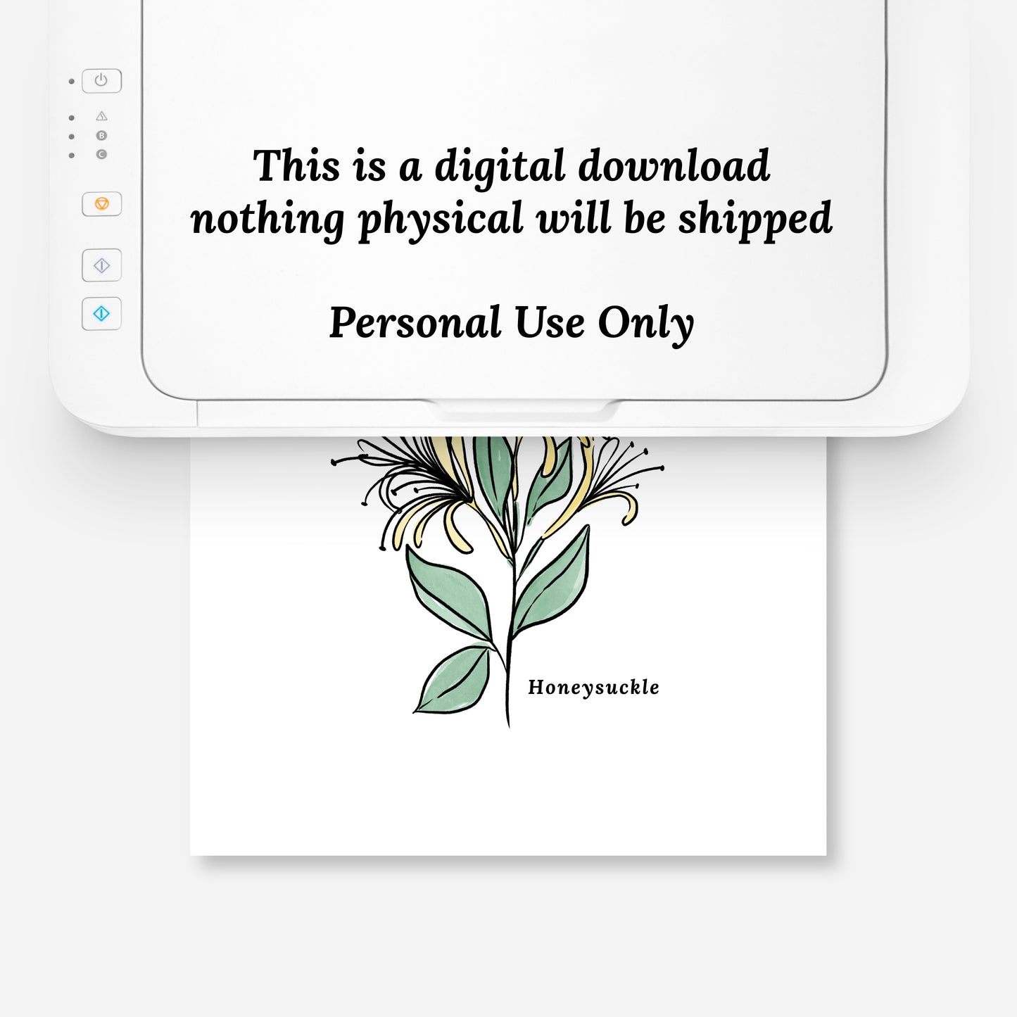 Honeysuckle Flower Illustration Printables | 4 Styles Included Watercolor Antique Sketched Floral Decor