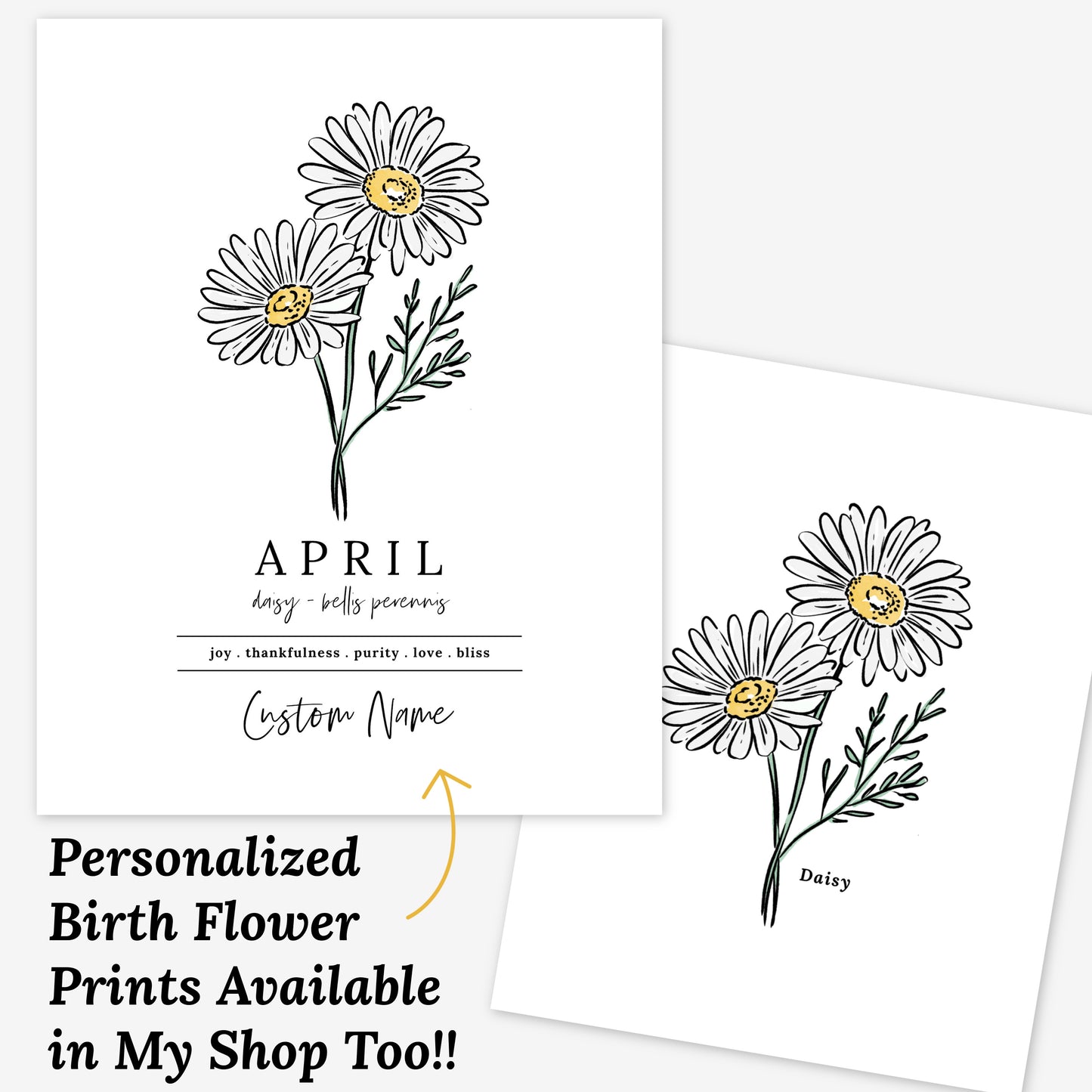 Daisy Illustration | Unframed Art Print Watercolor Sketched Drawing Floral Accent Wall Decor